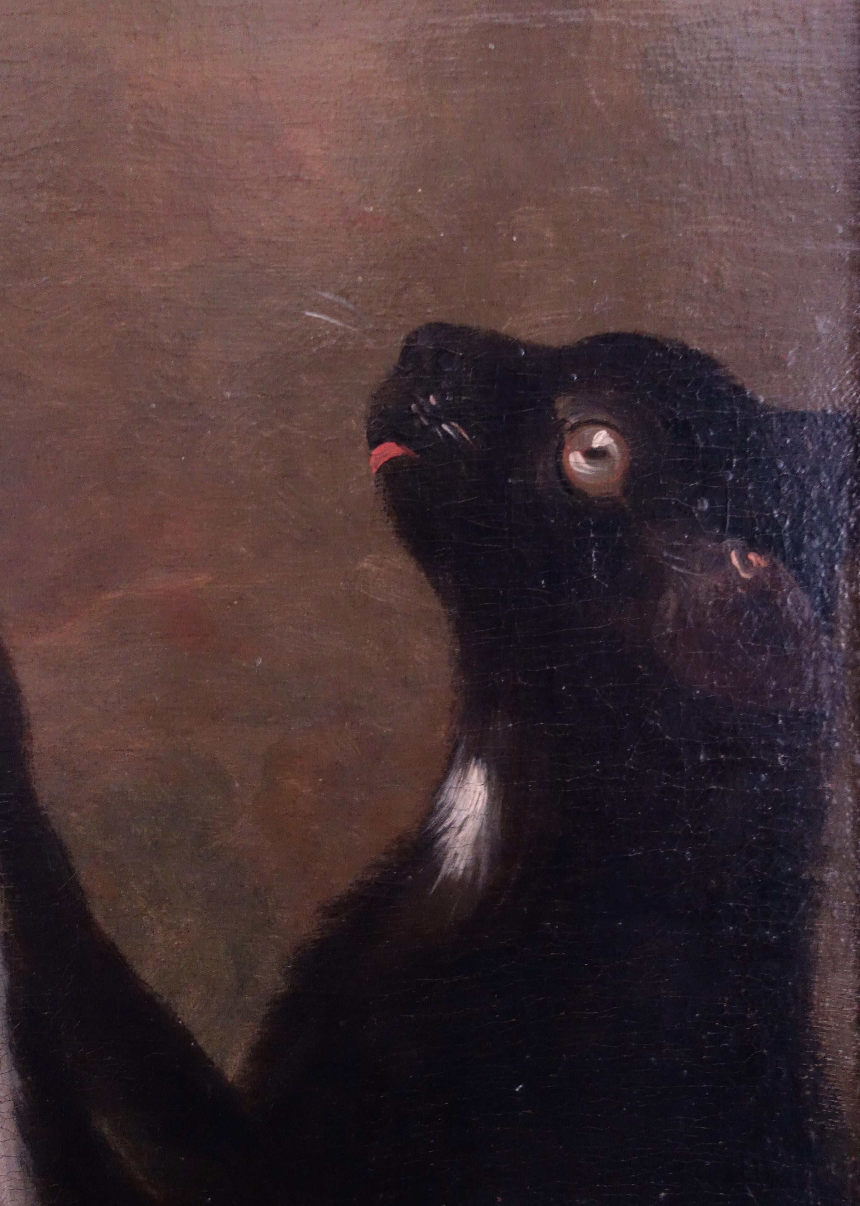 cat portrait painters wiltshire