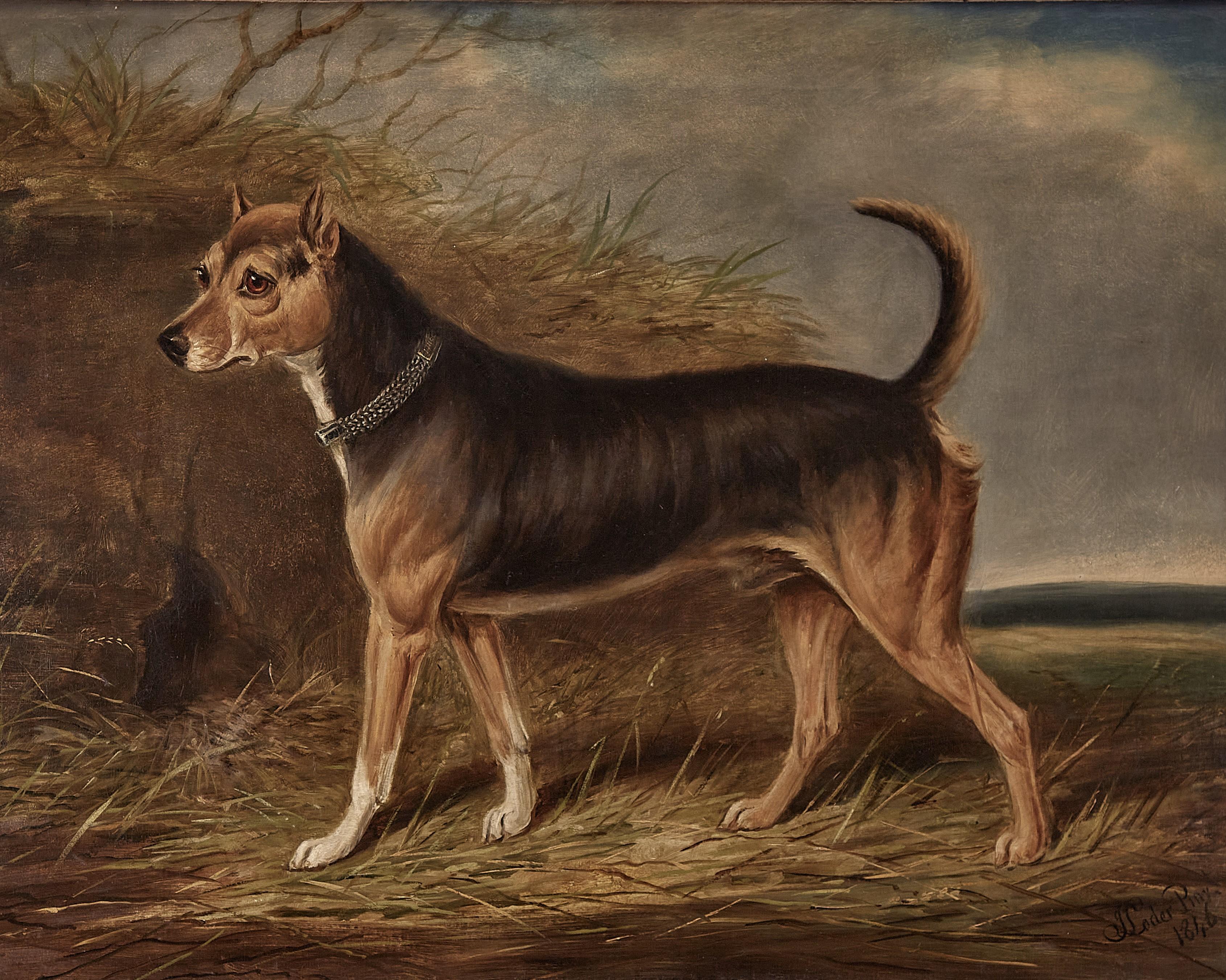 James Loder of Bath Landscape Painting - 19th century study of a terrier in an English landscape, signed 1846