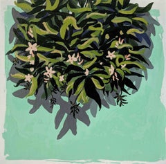 Bundles of Jasmine