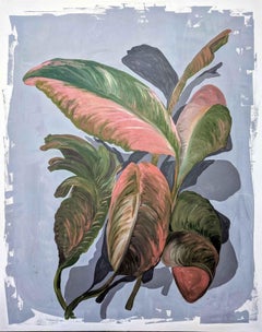 Bird of Calathea