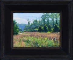 Valley View, Milford, Ohio