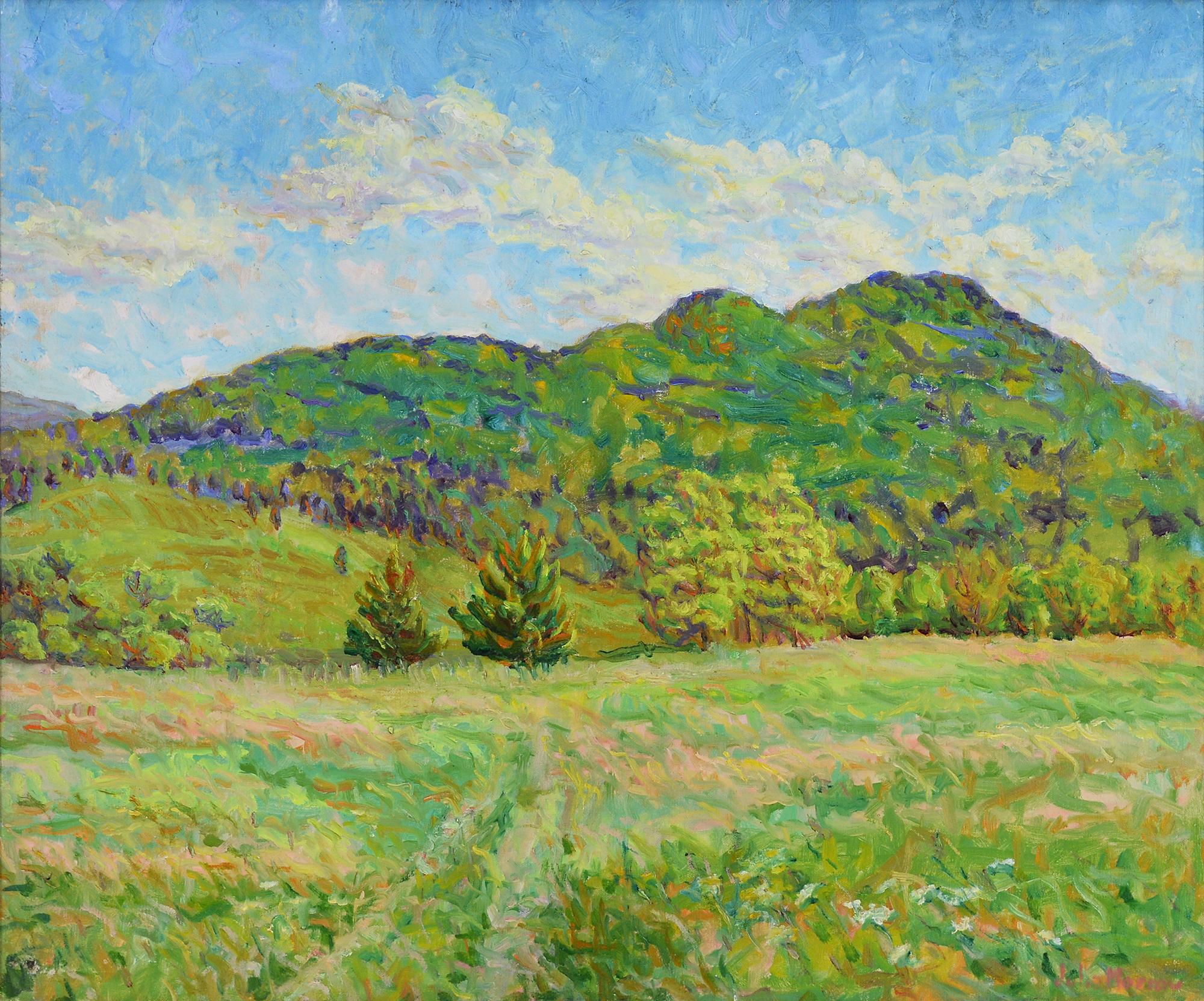 Julie Morrow DeForest  Landscape Painting - Across the Meadow to Green Peak