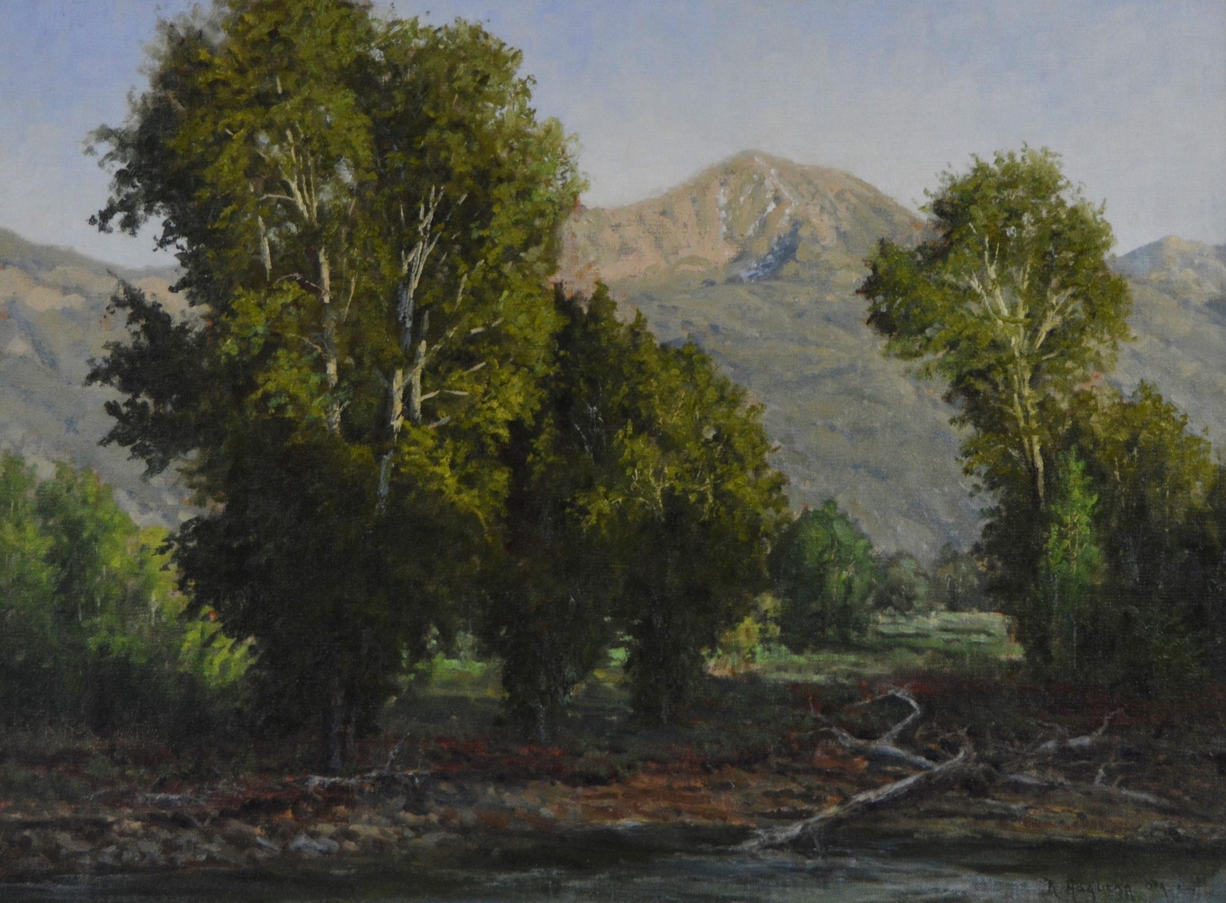 Settling into Shadow - Painting by Robert Hagberg