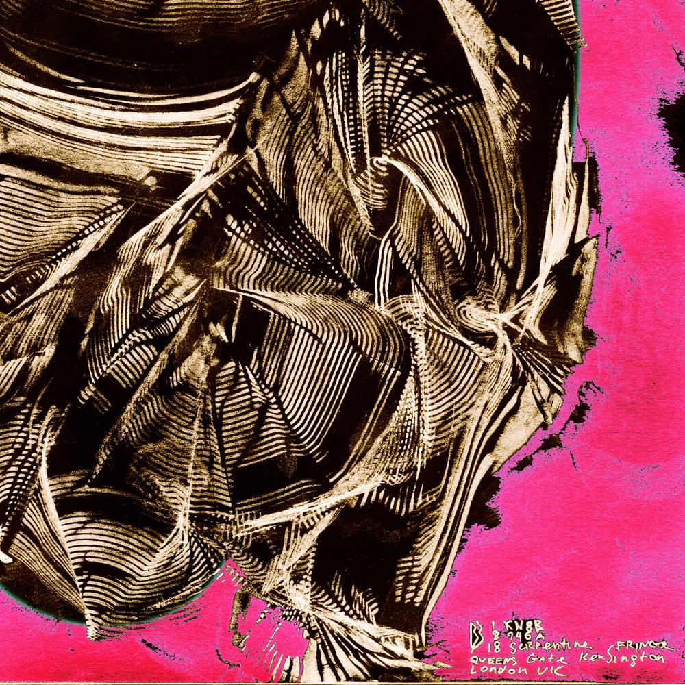 Portrait - Serpentine London - Abstract Print, Mixed Media, Digital art, pop art 2