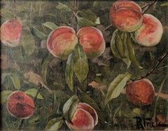 Antique Peaches in Orchard