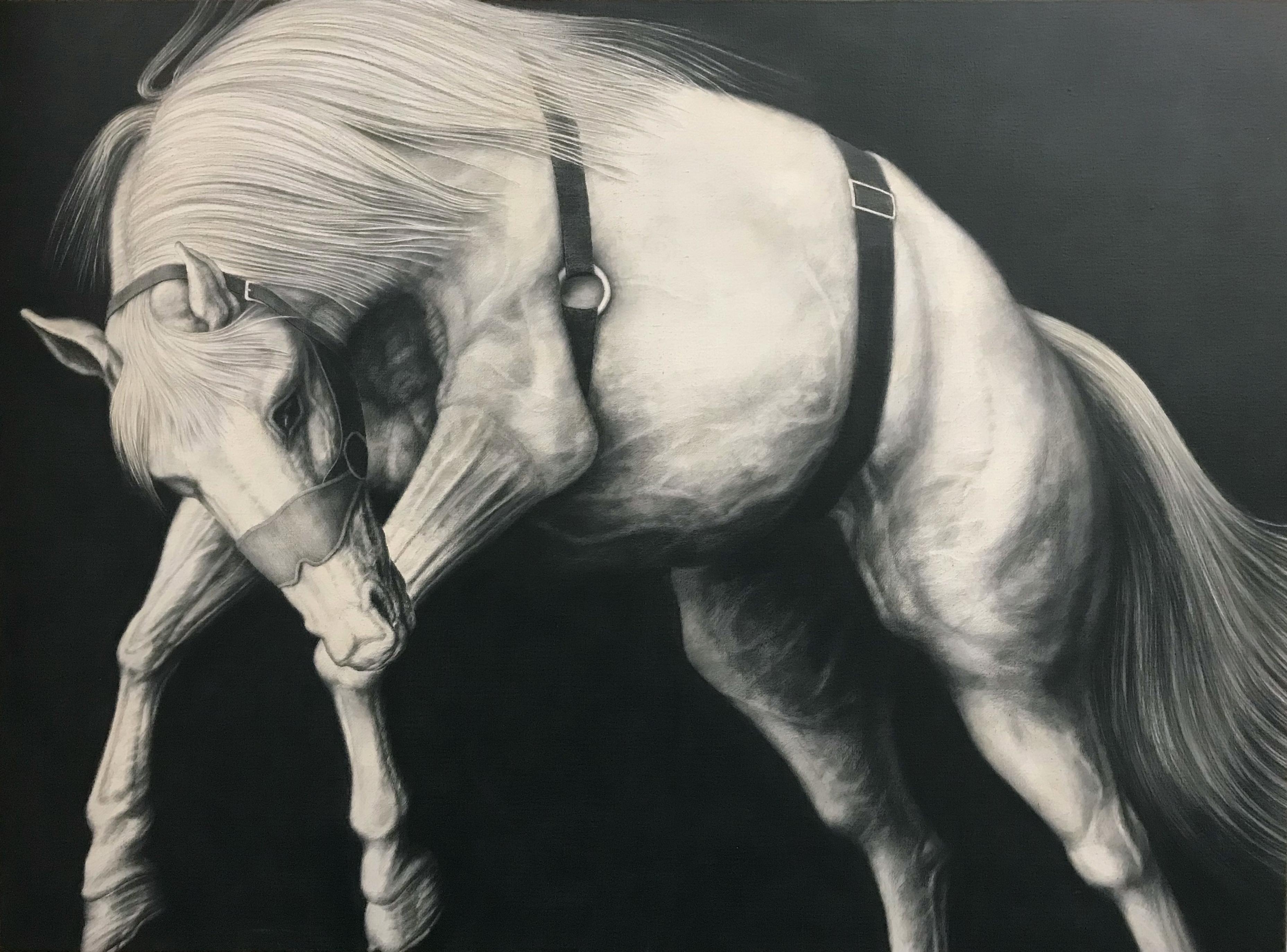 Joseph Piccillo Animal Art - "Edge Event XXVII", Figurative, Graphite, Drawing, Canvas, Horses, Realism