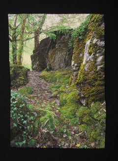 "Mossy Path", Contemporary, Framed, Embroidery, Photorealism, Nature, Landscape