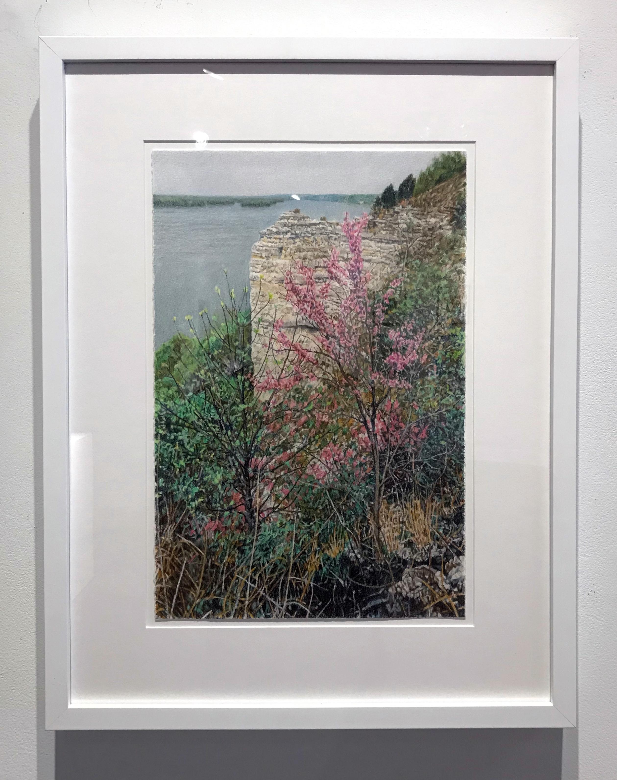 "Spring, River View", Colored Pencil, Drawing, Archival Paper, Framed, Nature - Art by Jeffrey Vaughn