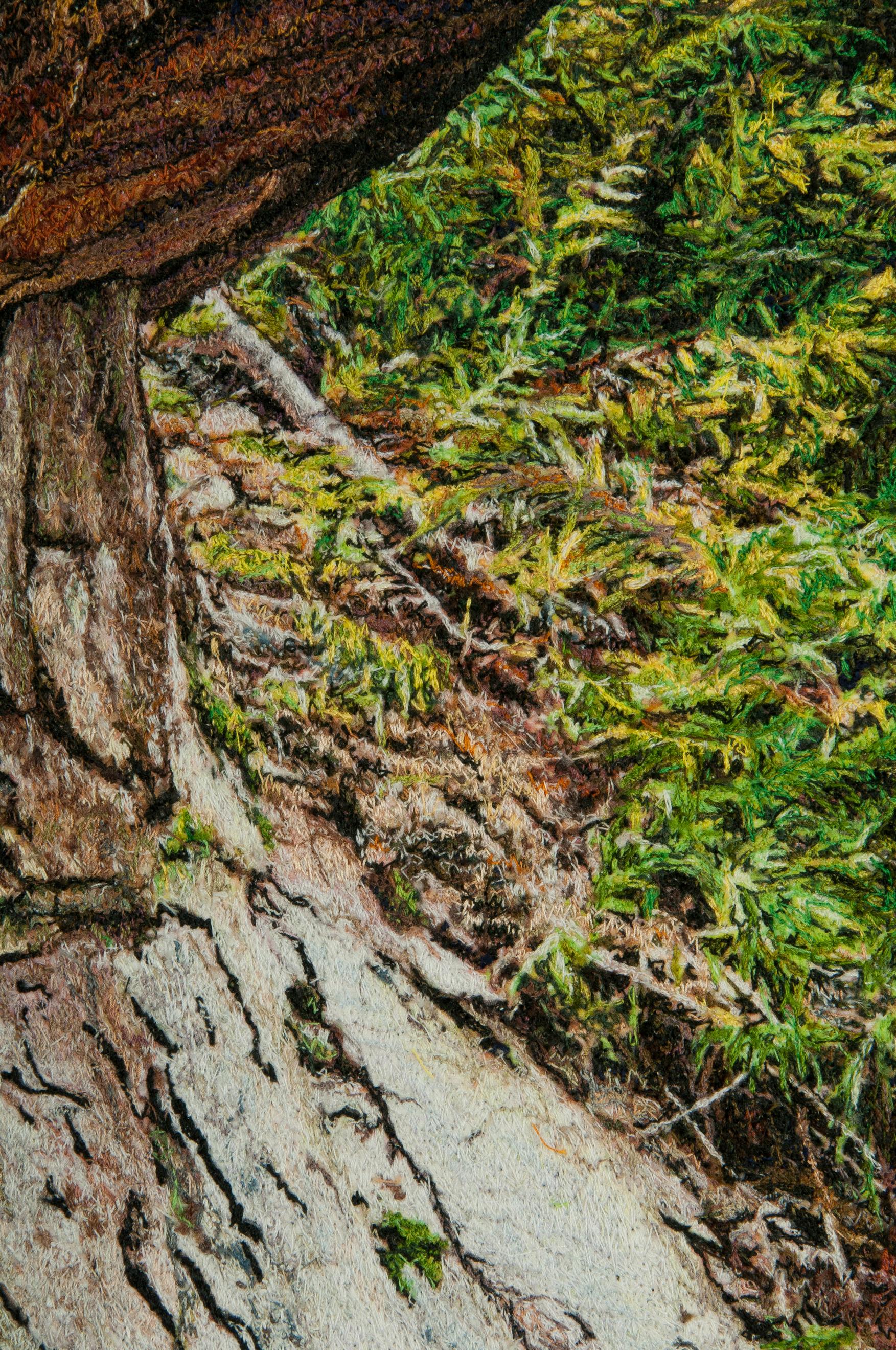 Carol Shinn è un'artista che vive a Fort Collins, in Colorado. È conosciuta a livello internazionale per le immagini cucite a macchina basate su fotografie. Ha tenuto numerosi corsi e workshop in tutti gli Stati Uniti e i suoi pezzi sono presenti in