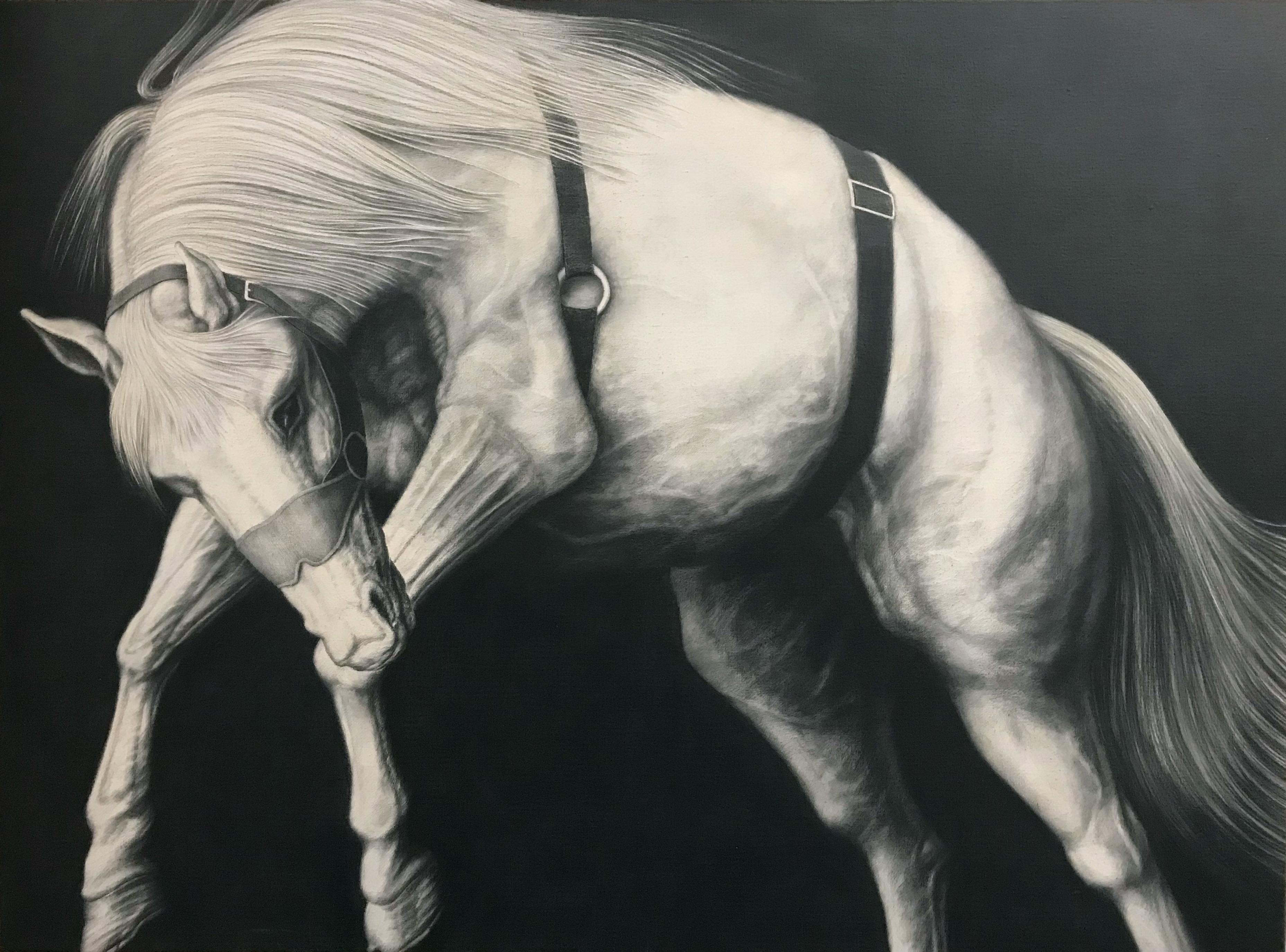 Figurative Art di Joseph Piccillo - "Edge Event XXVII", Figurativo, Grafite, Disegno, Tela, Cavalli, Realismo
