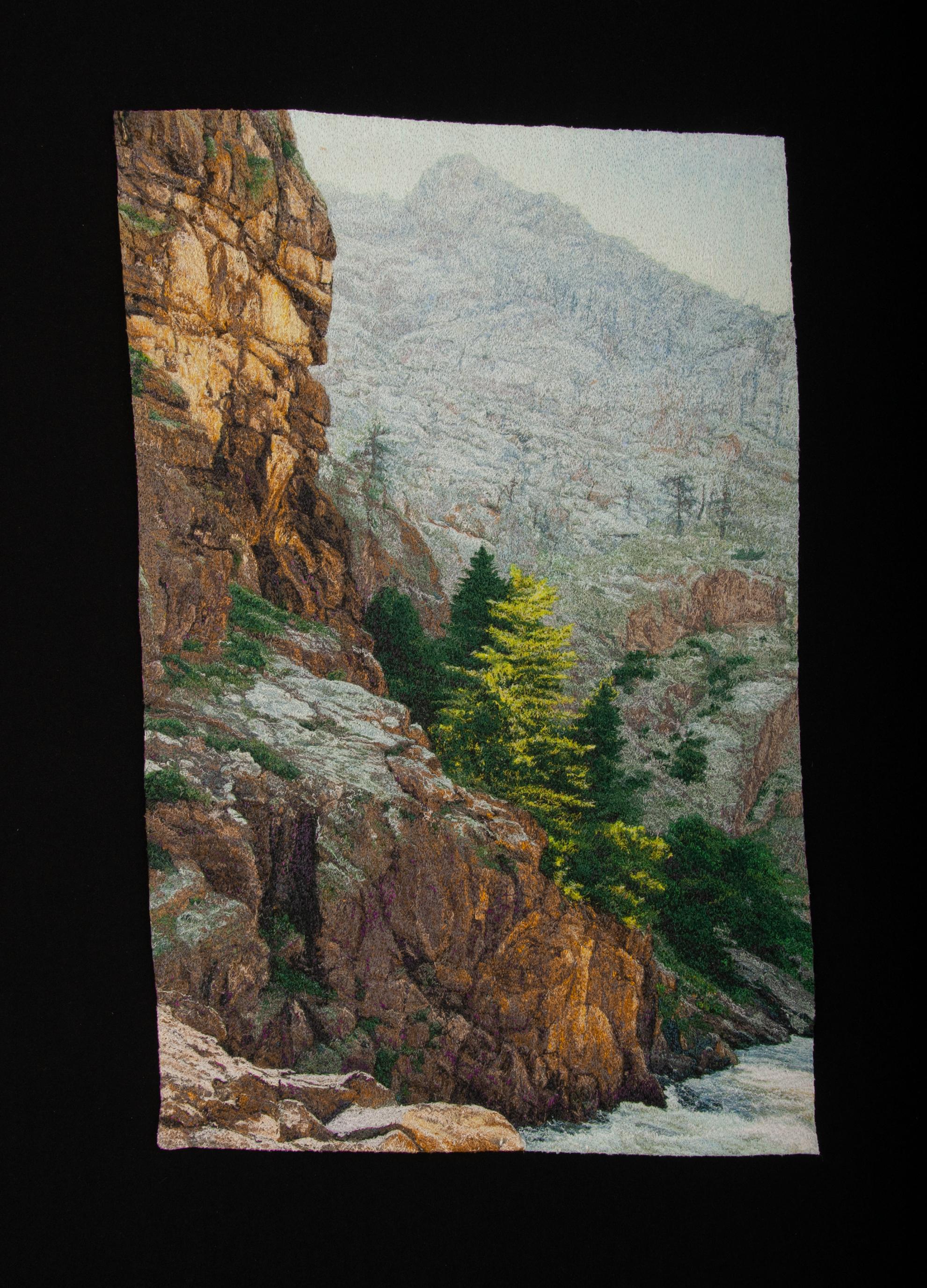 Carol Shinn est une artiste de studio qui vit à Fort Collins, dans le Colorado. Elle est connue internationalement pour ses photos cousues à la machine. Elle a donné de nombreux cours et ateliers à travers les États-Unis, et ses œuvres figurent dans