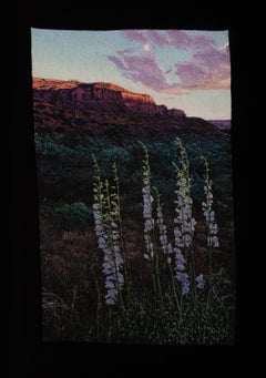 Fotorealistische Landschaftsstickerei, Blumen, Nature, gerahmt, Sonnenaufgang Penstemons