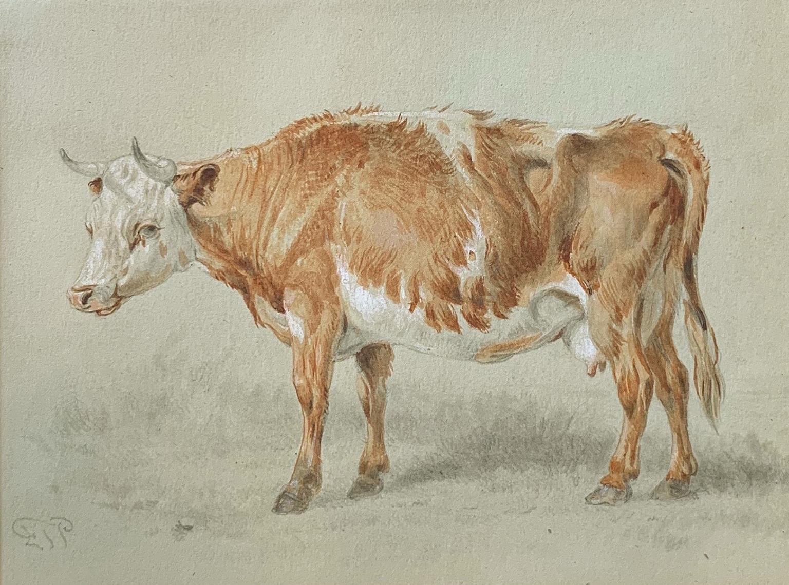 Cow art Original Watercolor Drawing Art Study watercolor pencil