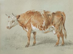 Cow Study - British School 19th Century - Watercolour