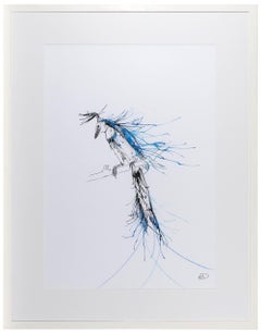 Emily Donald - Blue Throated Jay Blue Throated Jay