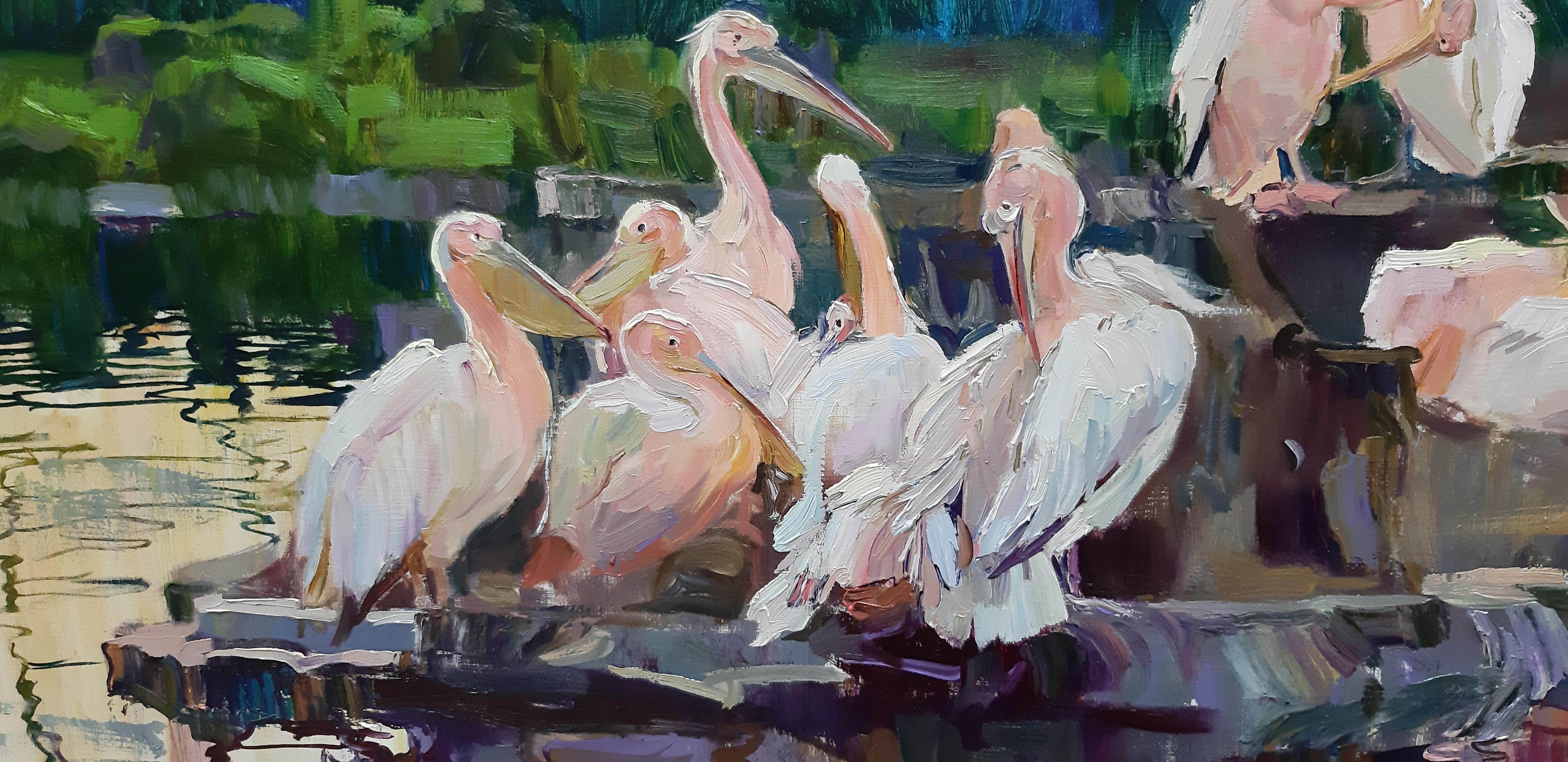 pelicans colors
