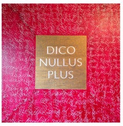 Used Dico Nullus Plus