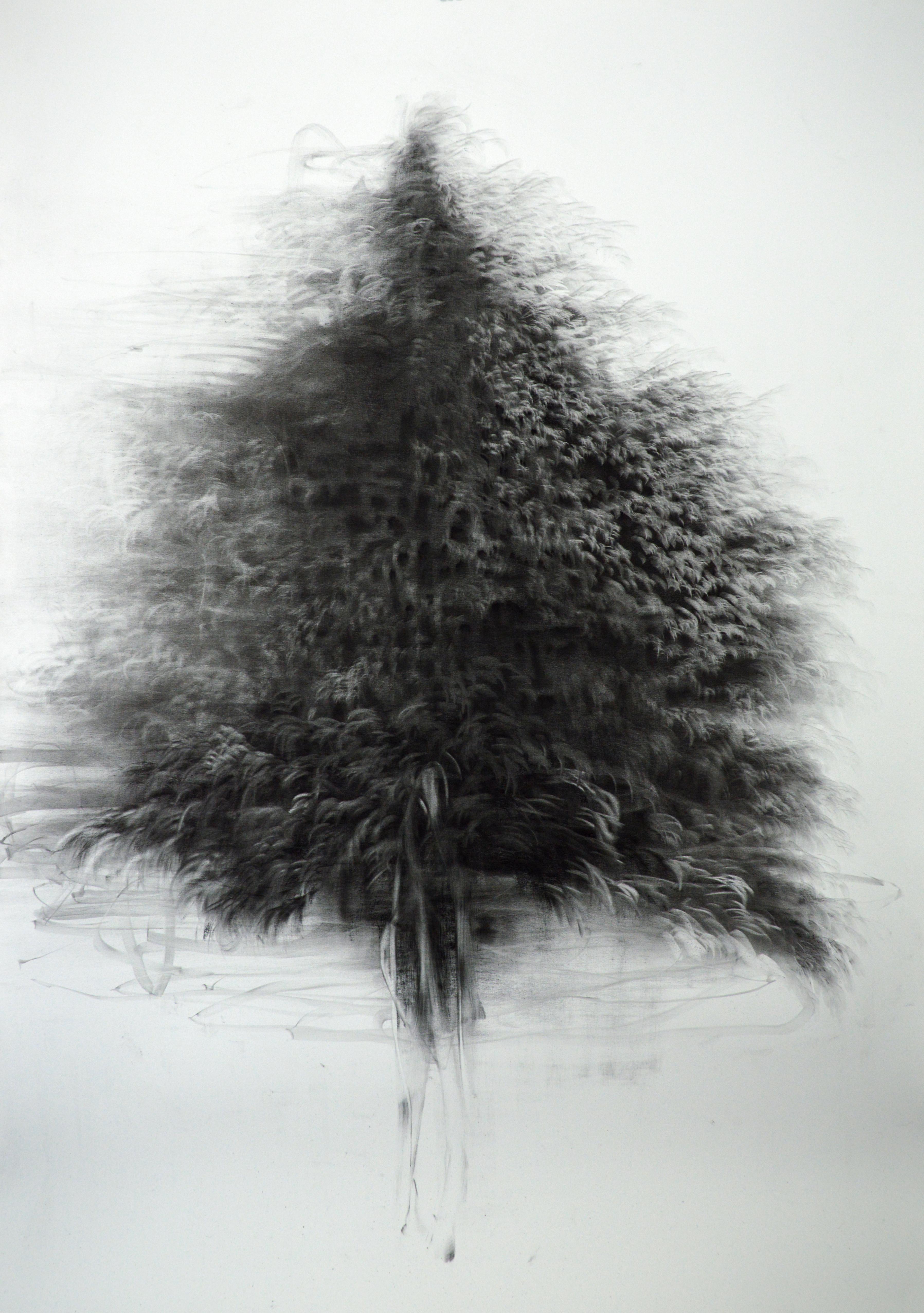 Giulia Dall'Olio Landscape Art - g 19][75 d, charcoal on Schoellershammer 4G archival drawing board