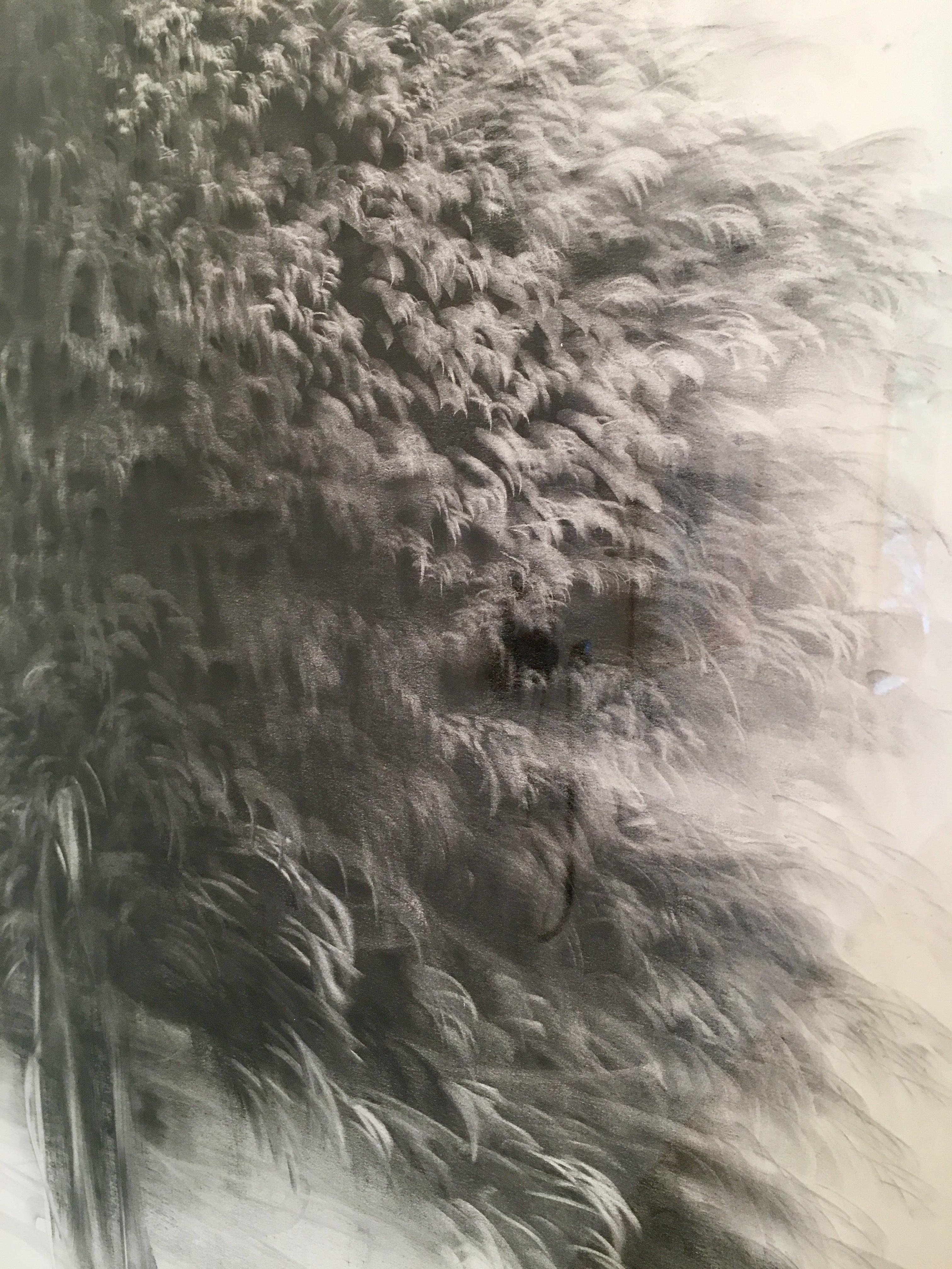 g 19][75 d, charcoal on Schoellershammer 4G archival drawing board - Gray Landscape Art by Giulia Dall'Olio