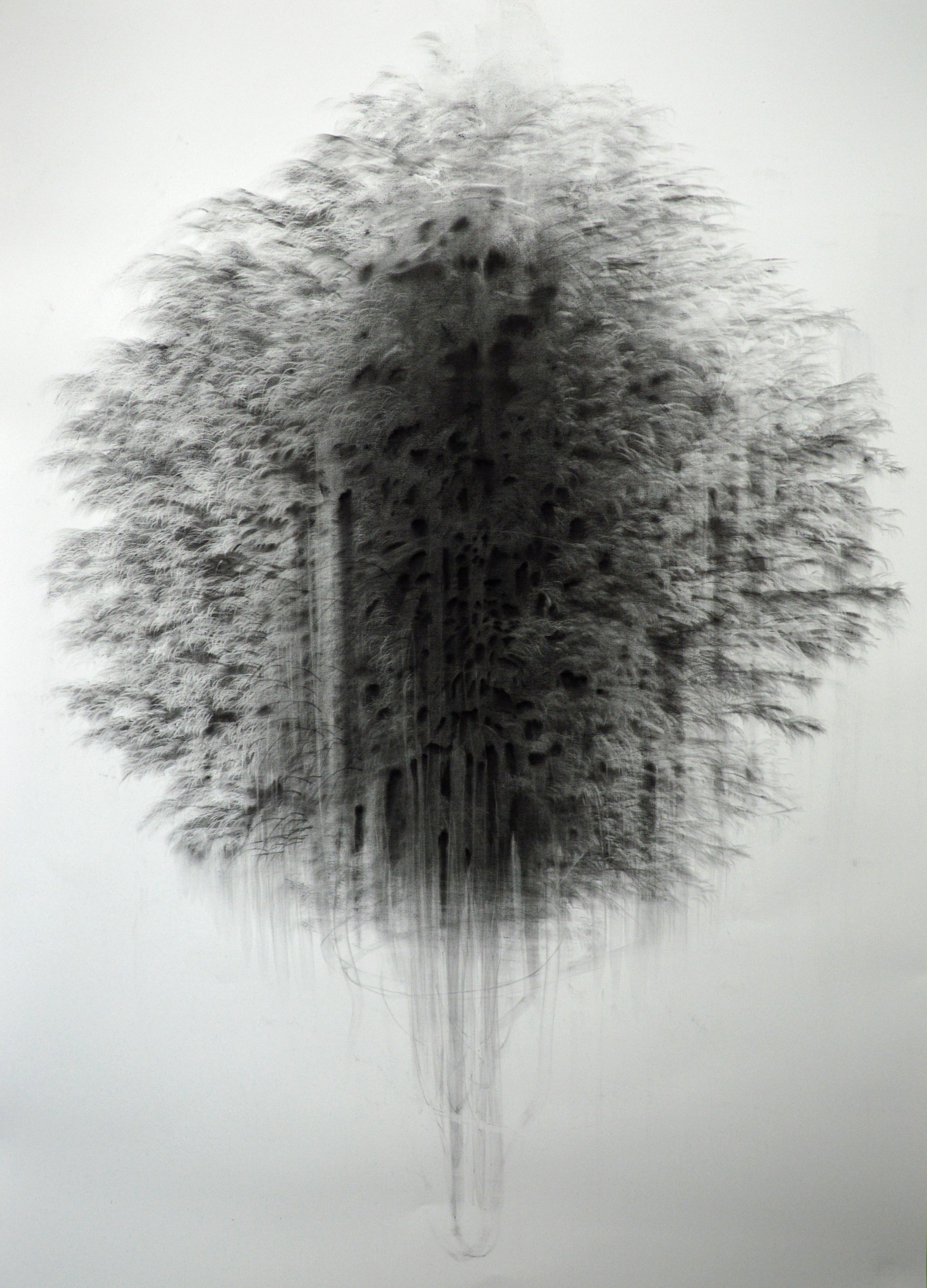 Giulia Dall'Olio Abstract Drawing - g 19][76 d, charcoal on Schoellershammer 4G archival drawing board