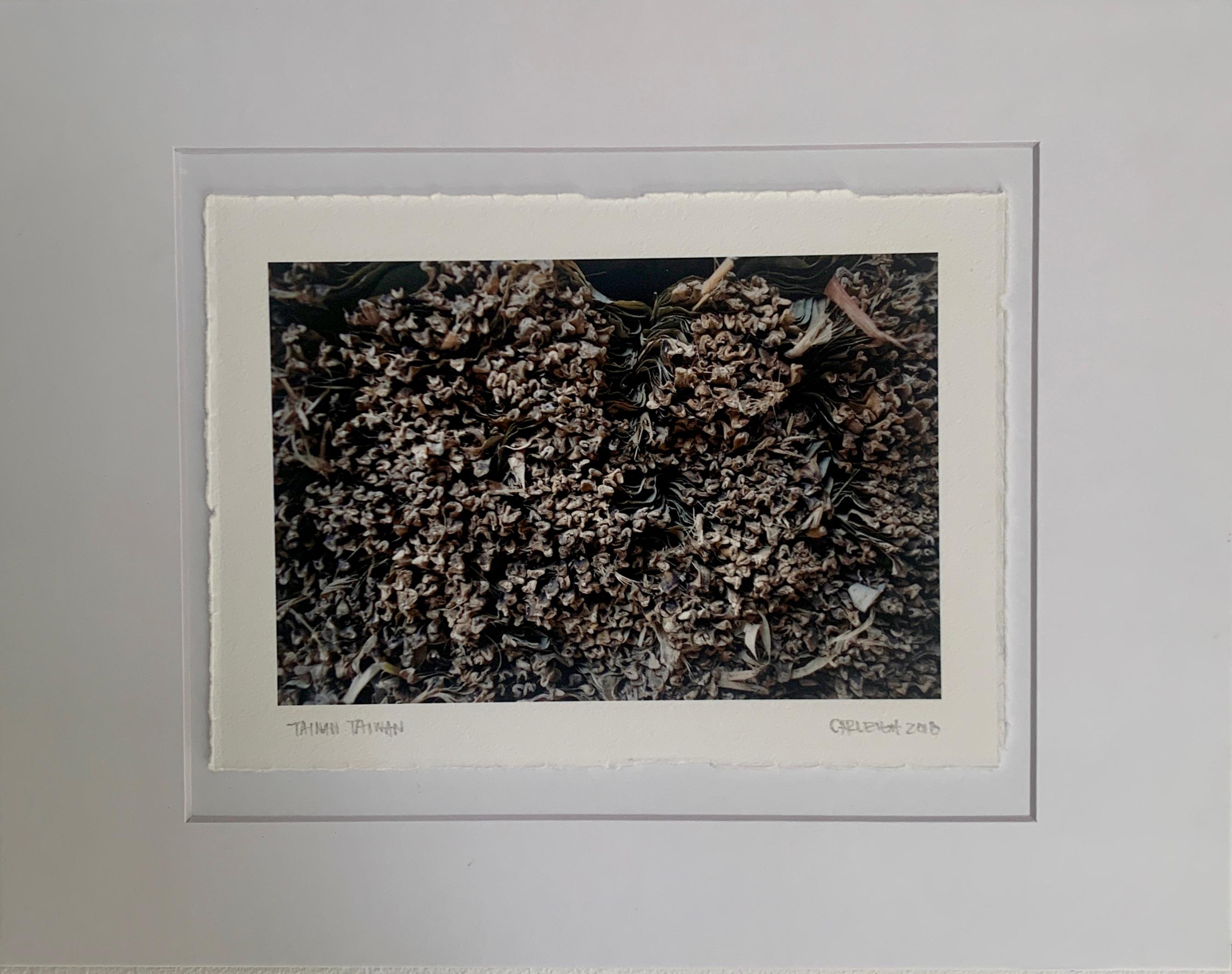 NOW WE'RE HERE - Print on Handmade Paper - Tainan, Taiwan, Earthy, Nature, Brown - Photograph by Carleigh Thomas