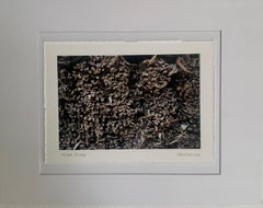 NOW WE'RE HERE - Stampa su carta fatta a mano - Tainan, Taiwan, Terra, Natura, Marrone