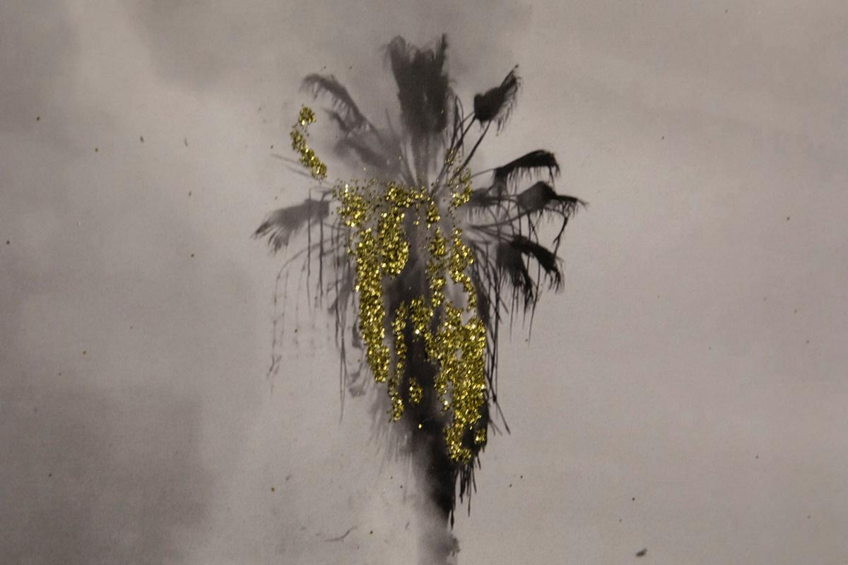 GOLD RUSH - 1. Auflage Video, Schwarzer und weißer Palmenbaum, Goldglitzer – Art von McLean Fahnestock