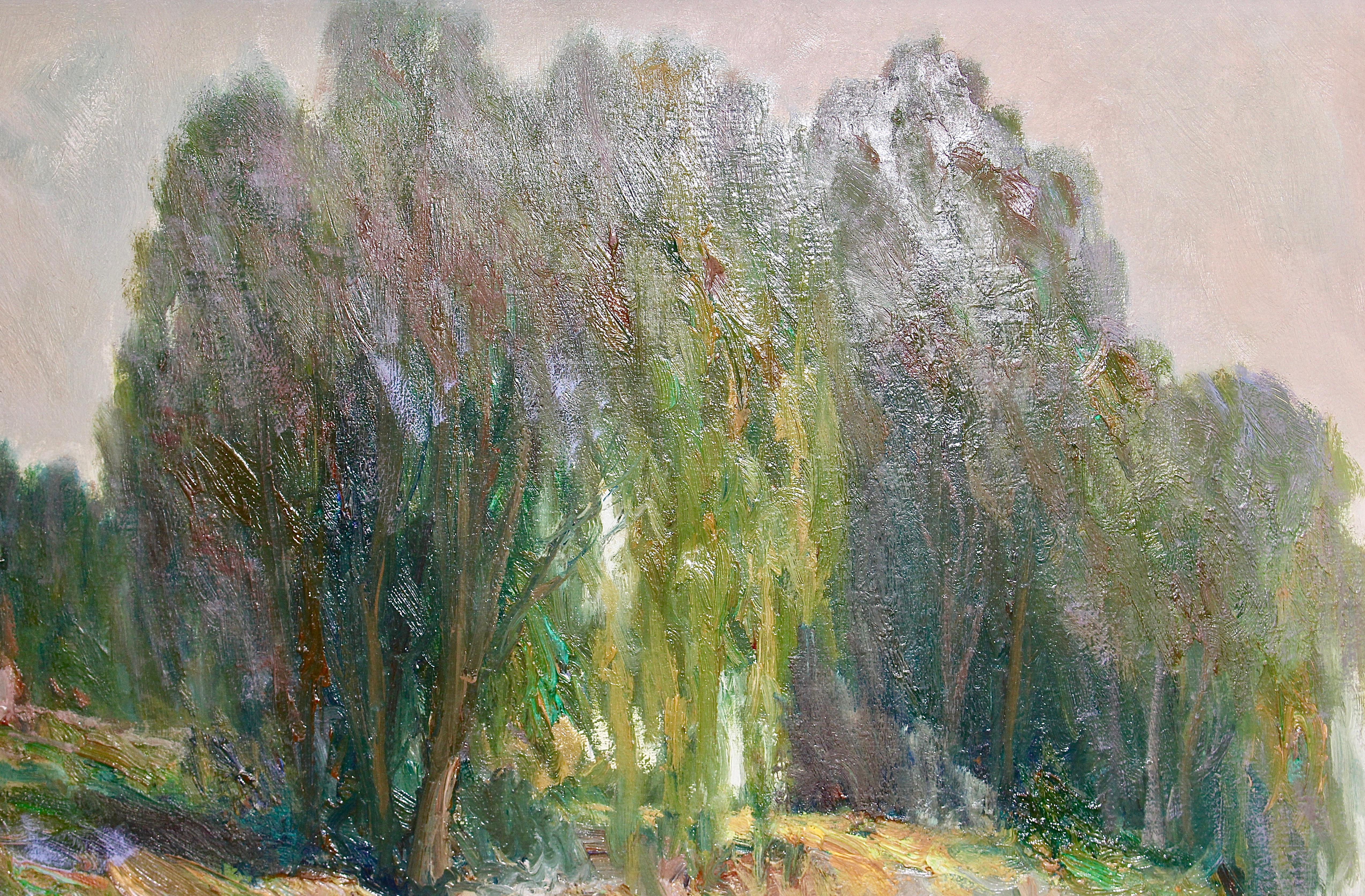 Peinture, huile sur toile, paysage marin. Fisherman du lac Garda, en Italie en vente 1