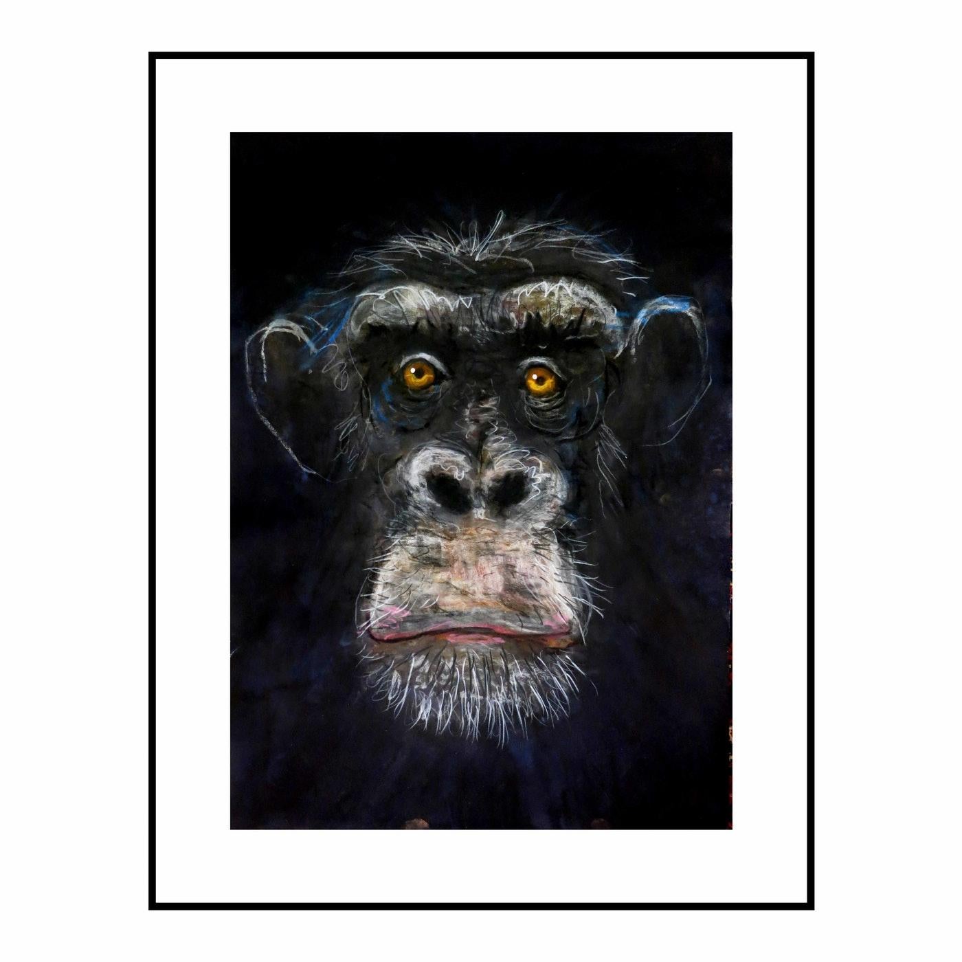 Chimpanzee - New Animal Study By John Graham For Sale 2