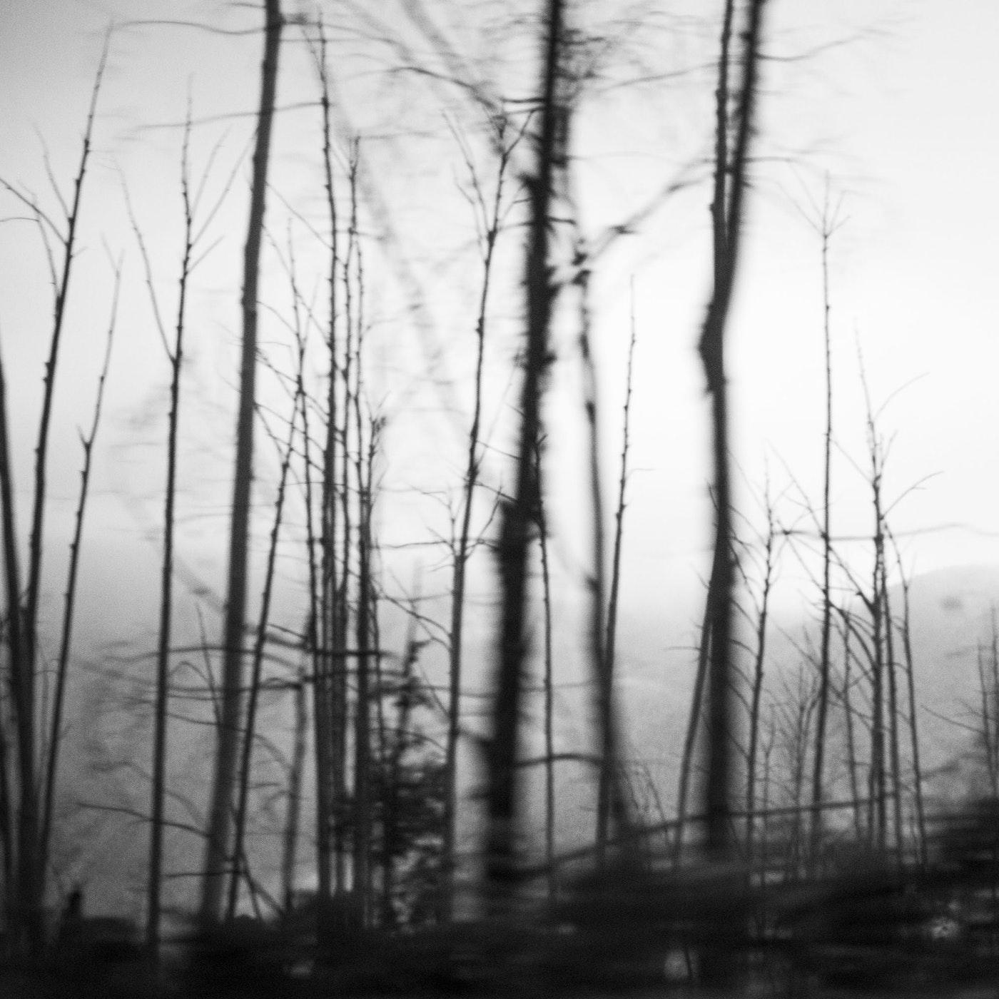 Ebony Finck Black and White Photograph - Untitled 2, Juncture