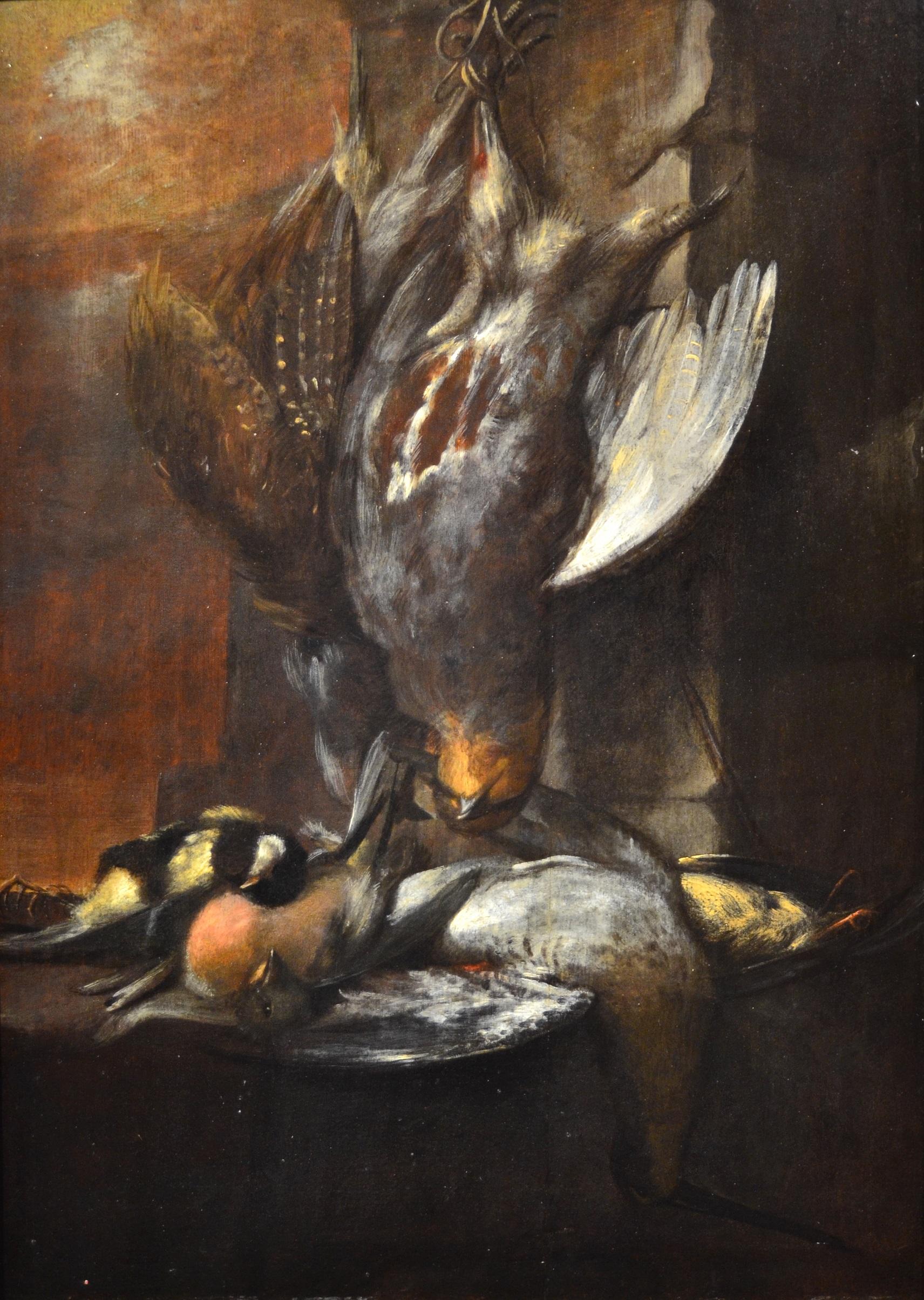Still Life Bird Paint Oil on table 17/18th Century Italy Nature Landscape Flower - Painting by Felice Boselli (Piacenza, 1650 - Parma 1732), attributed