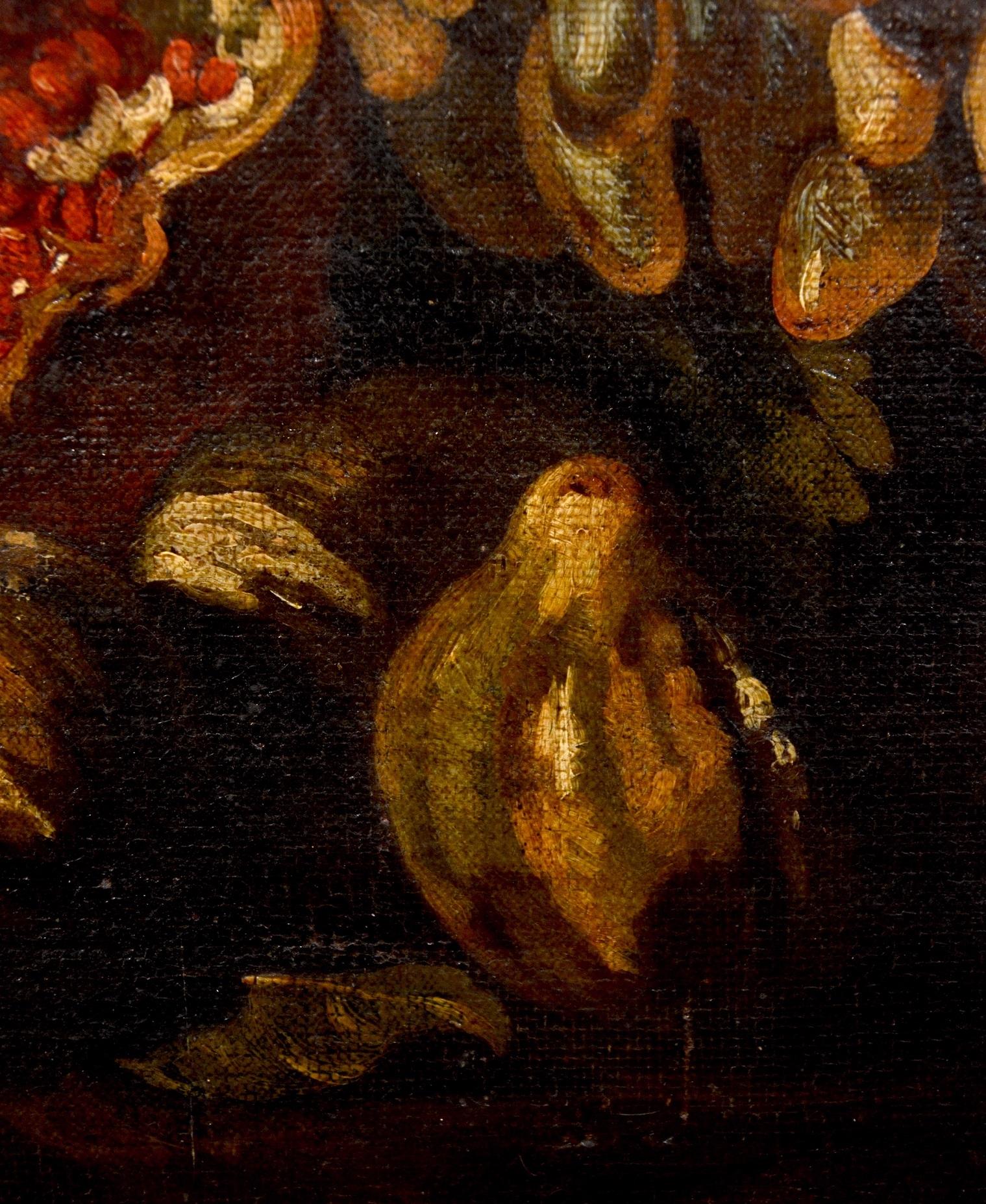 Ascione Stillleben, Öl auf Leinwand, Alter Meister, Barock, 17./18. Jahrhundert, Italien im Angebot 7