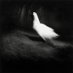 Simeto - Carmelo Bongiorno Farmhouse Black and White Photography Giclee Print