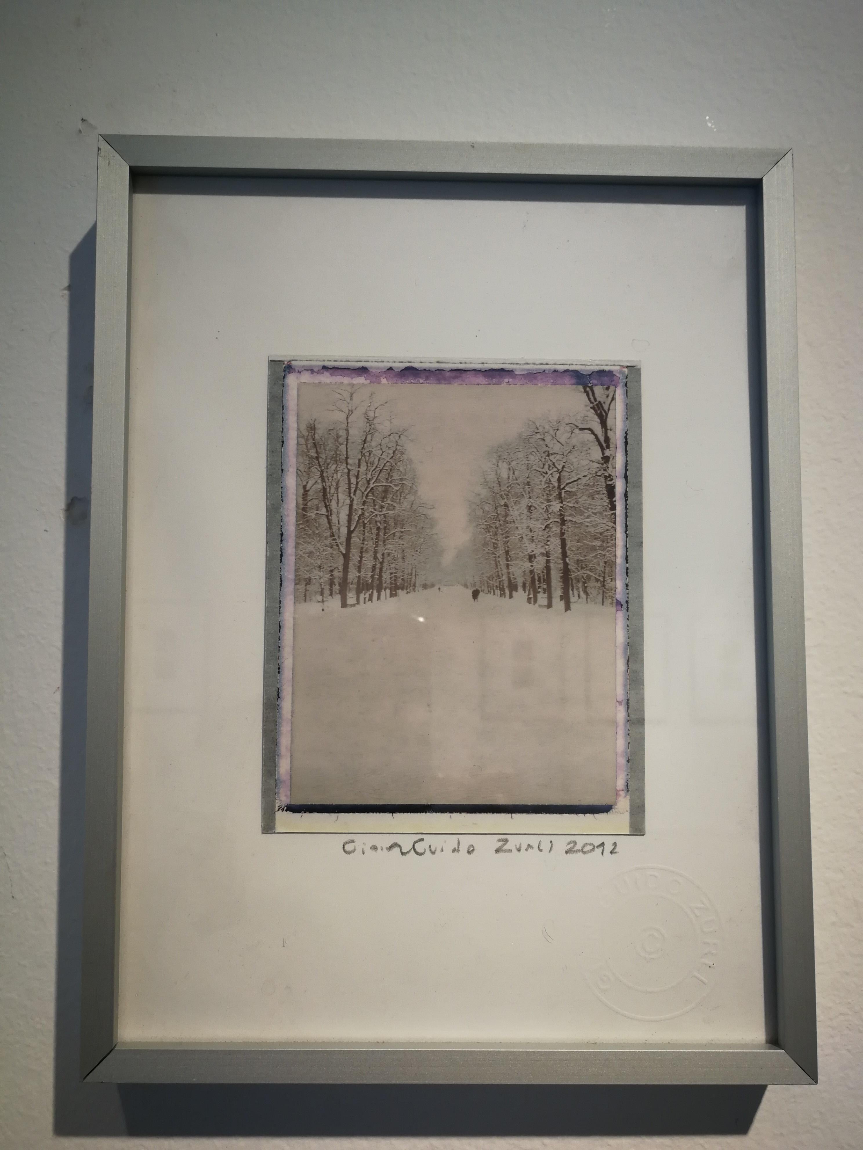 This photo is part of a series of landscapes made in Parma with an original Chocolate Polaroid Film.
The polaroid is joined to a print of the same photo.

Gian Guido Zurli was born in Parma in 1977 and has been working in the world of video editing