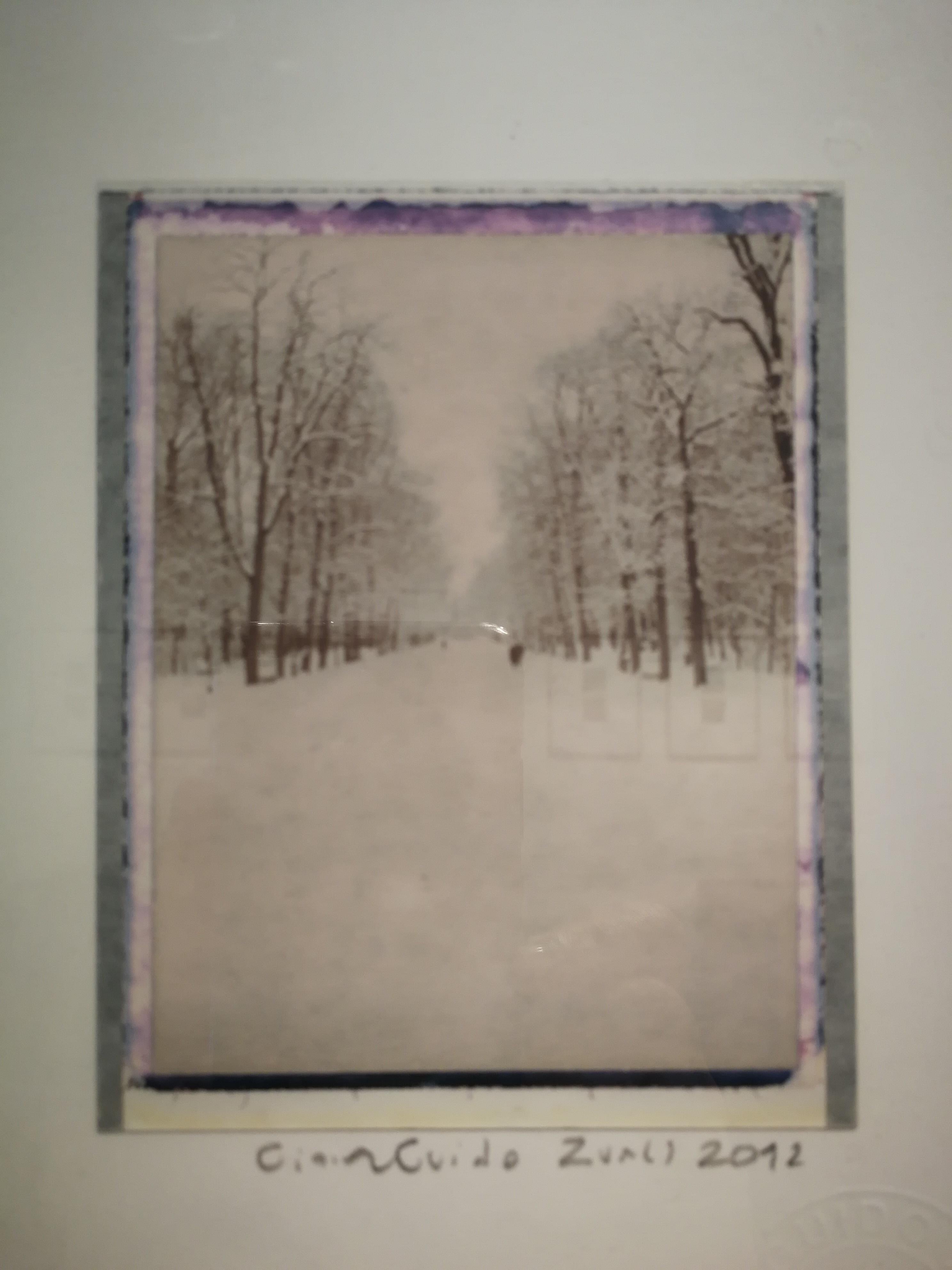 Parma , nevicata , 2012 - Gian Guido Zurli Polaroid Photography Landscape For Sale 1
