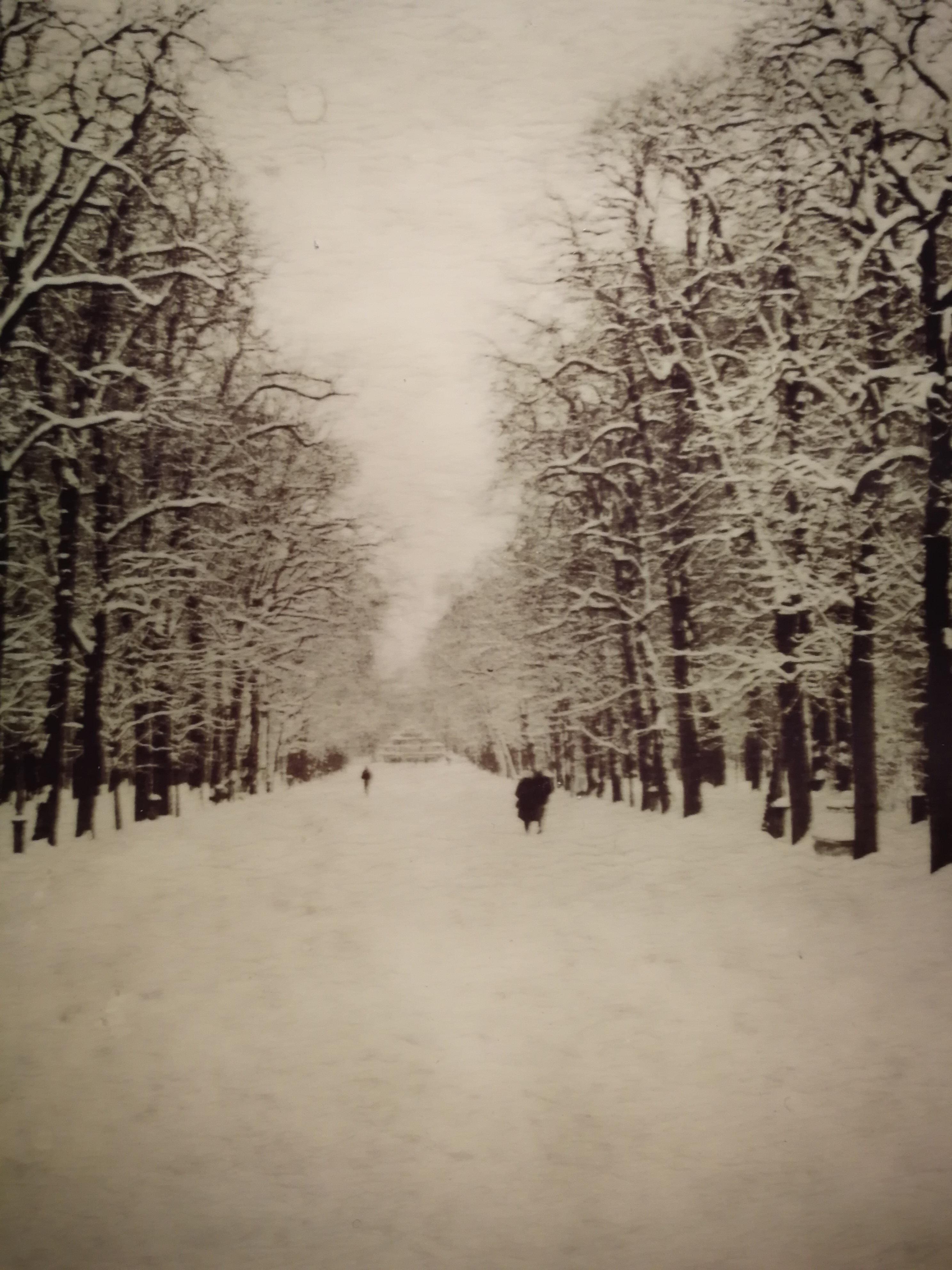 Parma , nevicata , 2012 - Gian Guido Zurli Polaroid Photography Landscape For Sale 7