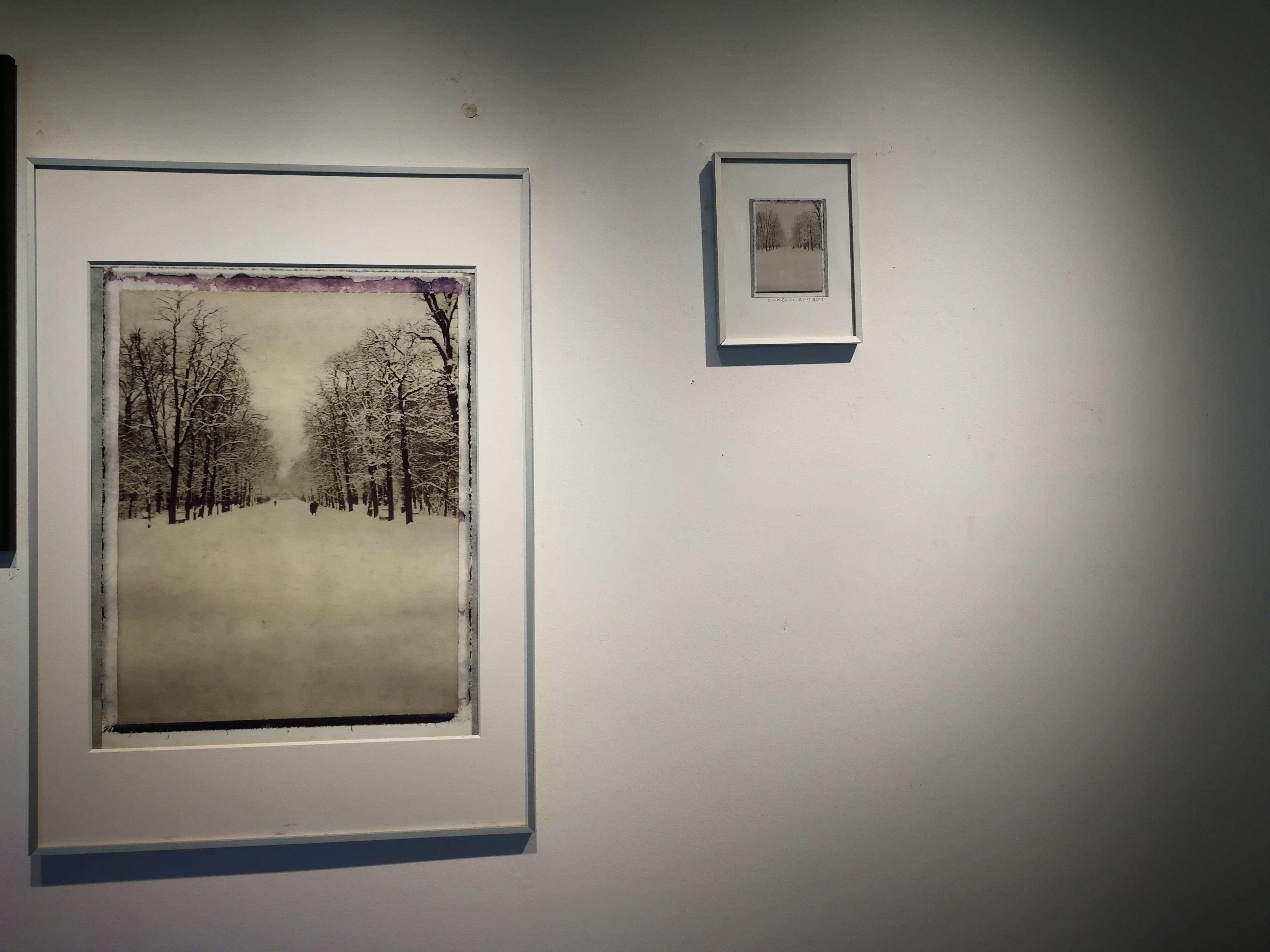 Parma , nevicata , 2012 - Gian Guido Zurli Polaroid Photography Landscape For Sale 10
