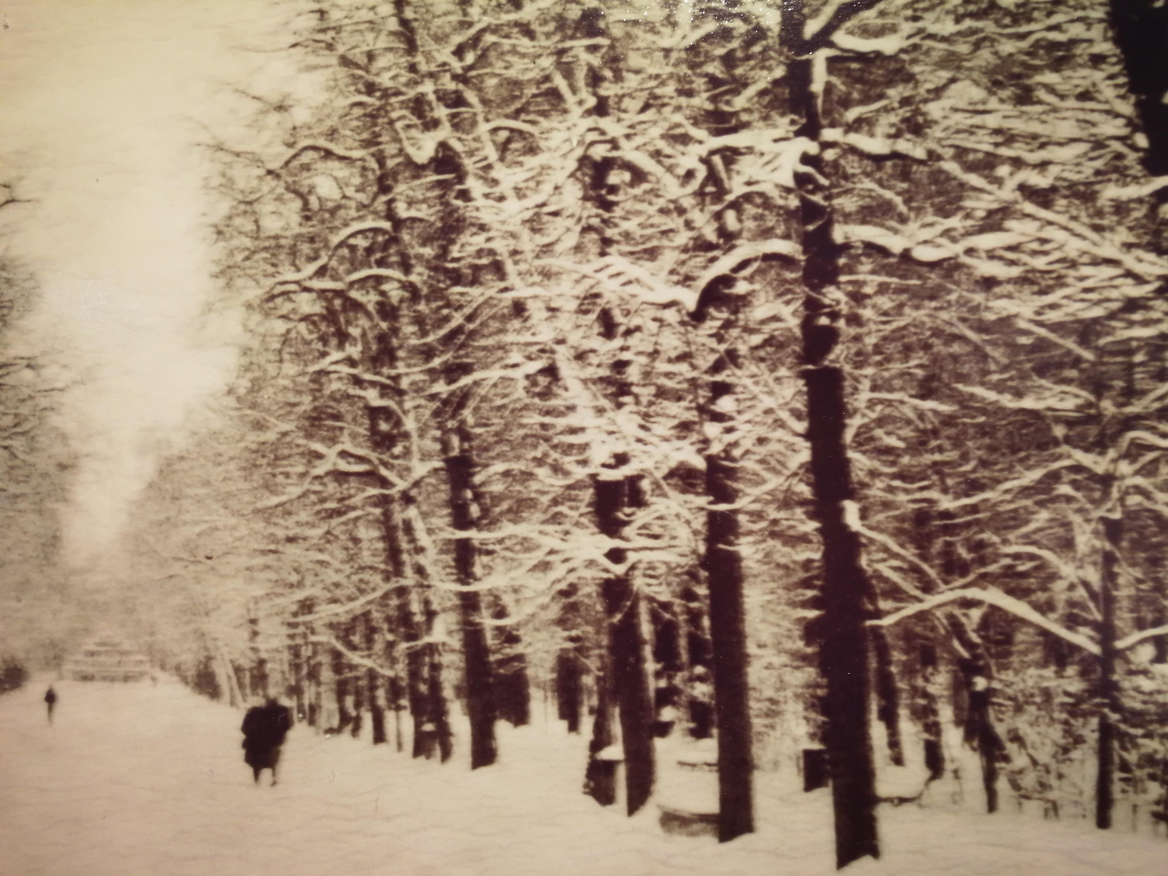 Parma , nevicata , 2012 - Gian Guido Zurli Polaroid Photography Landscape For Sale 11