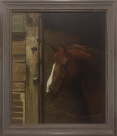 Bay Horse at Rest