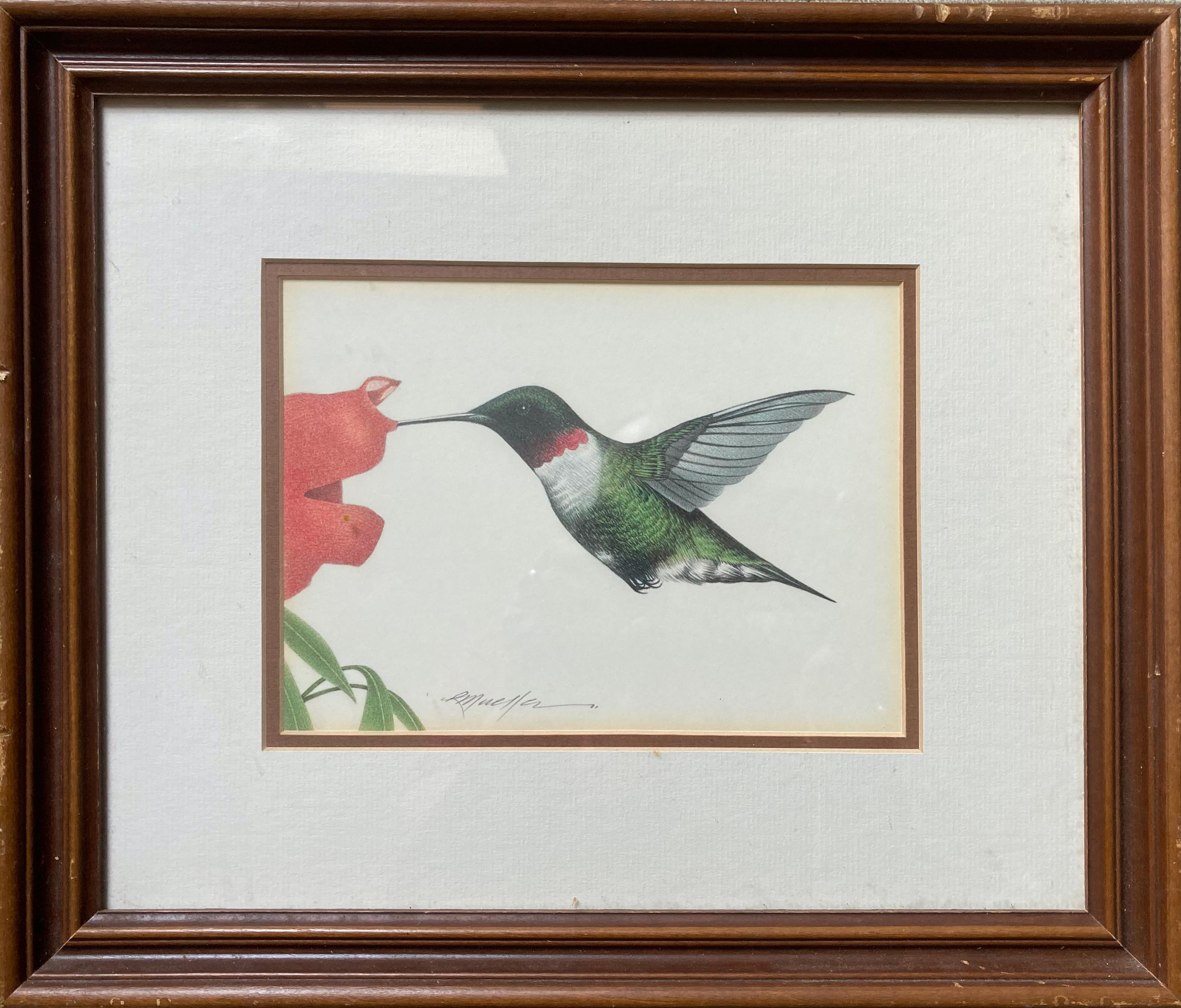 Richard Mueller Animal Painting - Hummingbird ("The Whizzer") - Framed Modern Realistic Bird Drawing