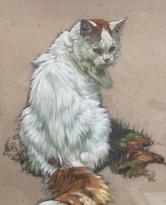 Gato (Cat)