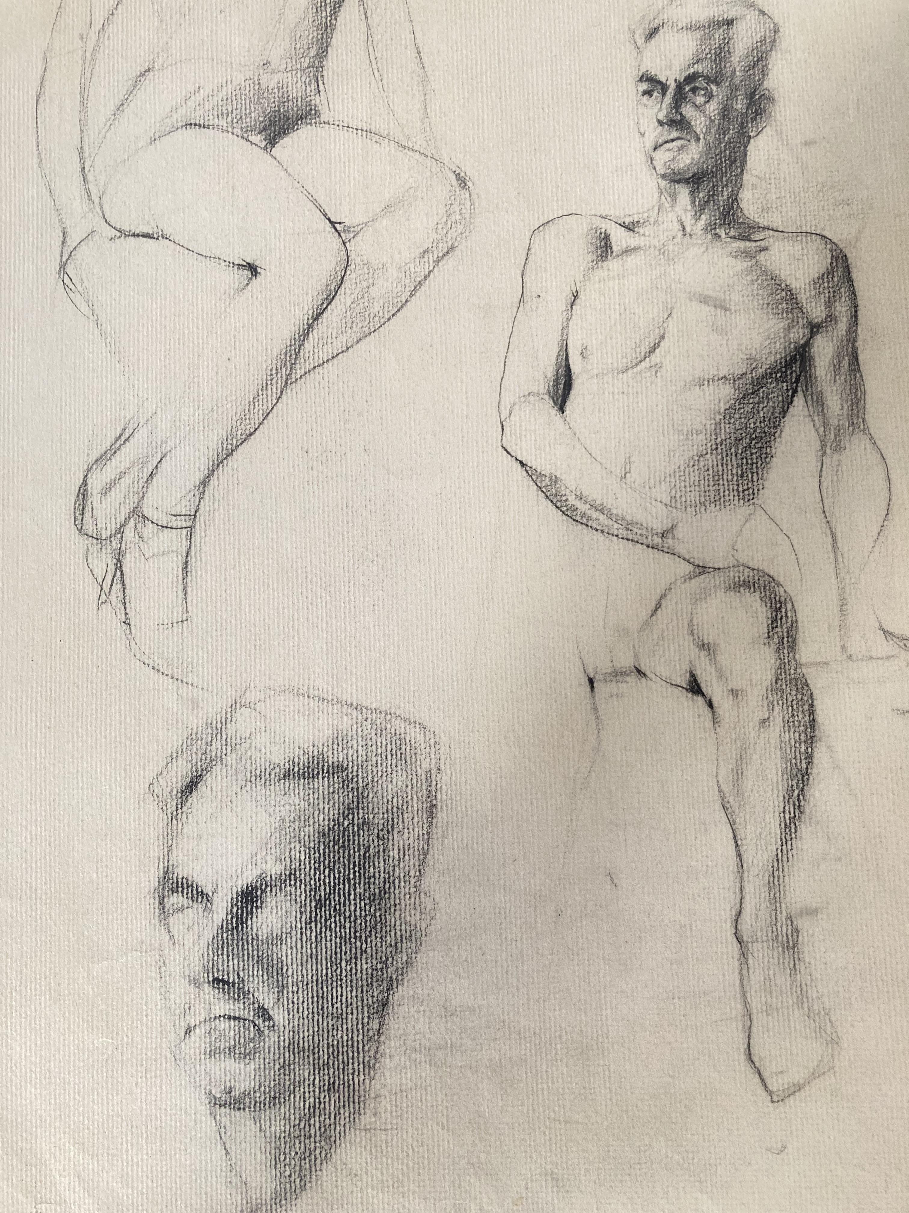 Figure Drawings  (Pencil Drawings on Paper) - Gray Figurative Art by Unknown