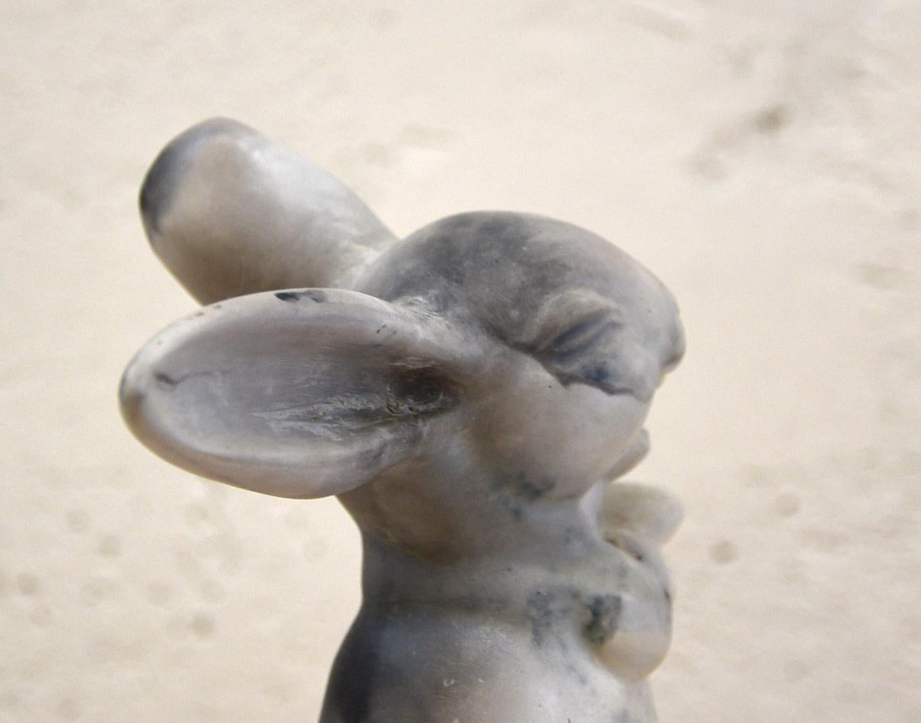 Kim Brown has been working on a series of photographs of a porcelain rabbit figurine off and on for the past twenty years.

The figurine belonged to the artist's grandmother, and always caught her attention. Something about its laugh seemed slightly