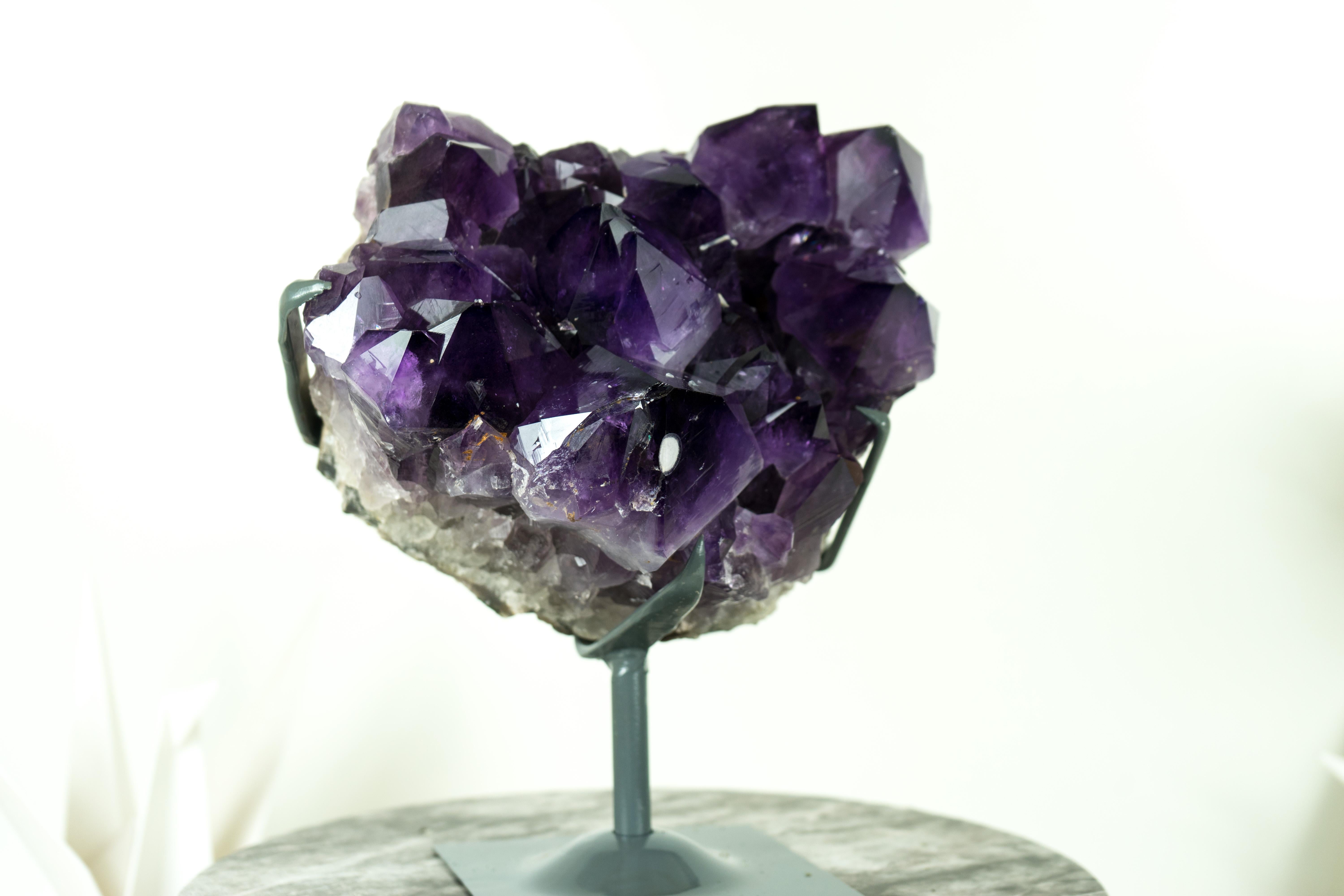 AAA Amethyst Cluster with Intense Dark Purple Amethyst Druzy, Decor Crystal In New Condition For Sale In Ametista Do Sul, BR