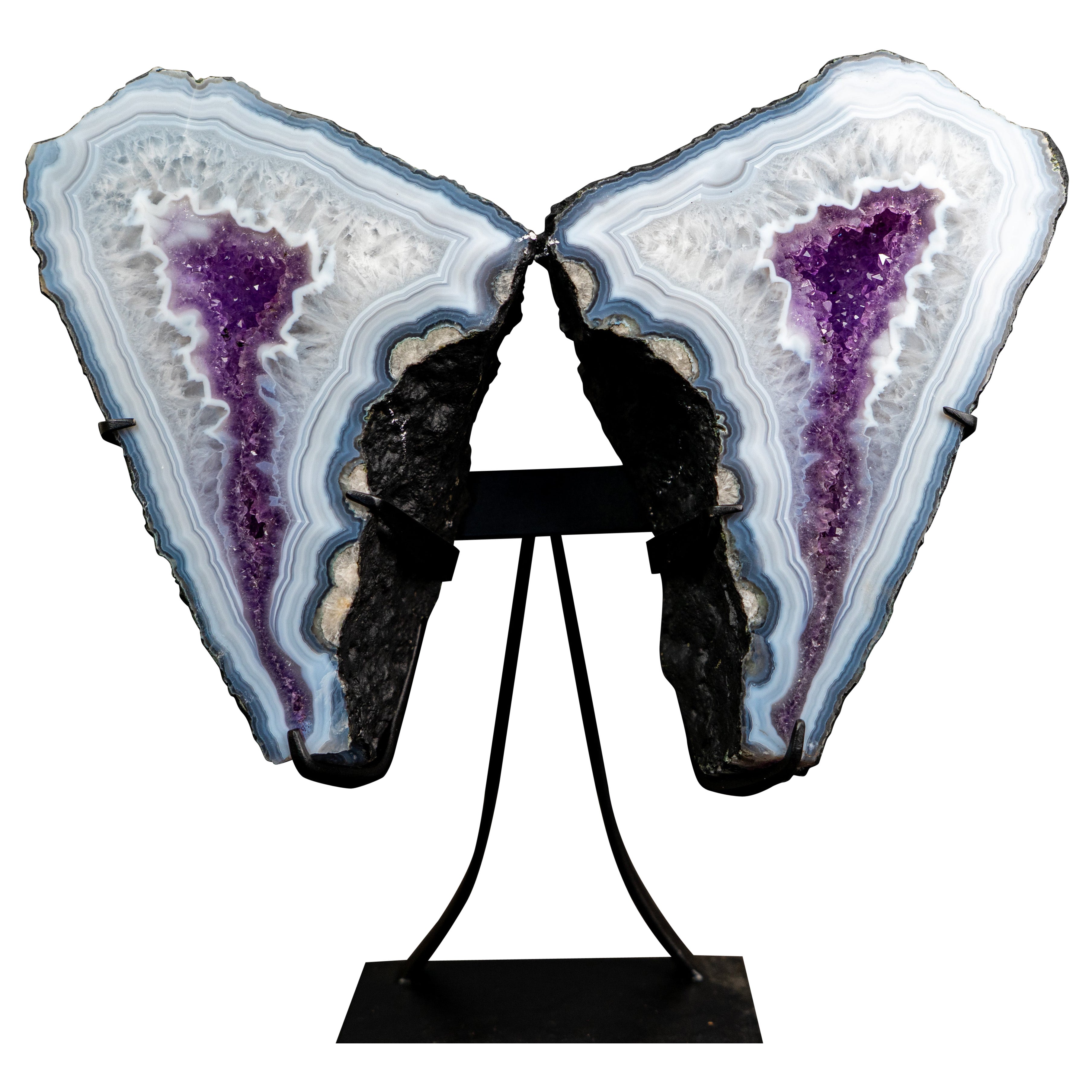 AAA Blue Lace Agate Butterfly Wings Geode For Sale