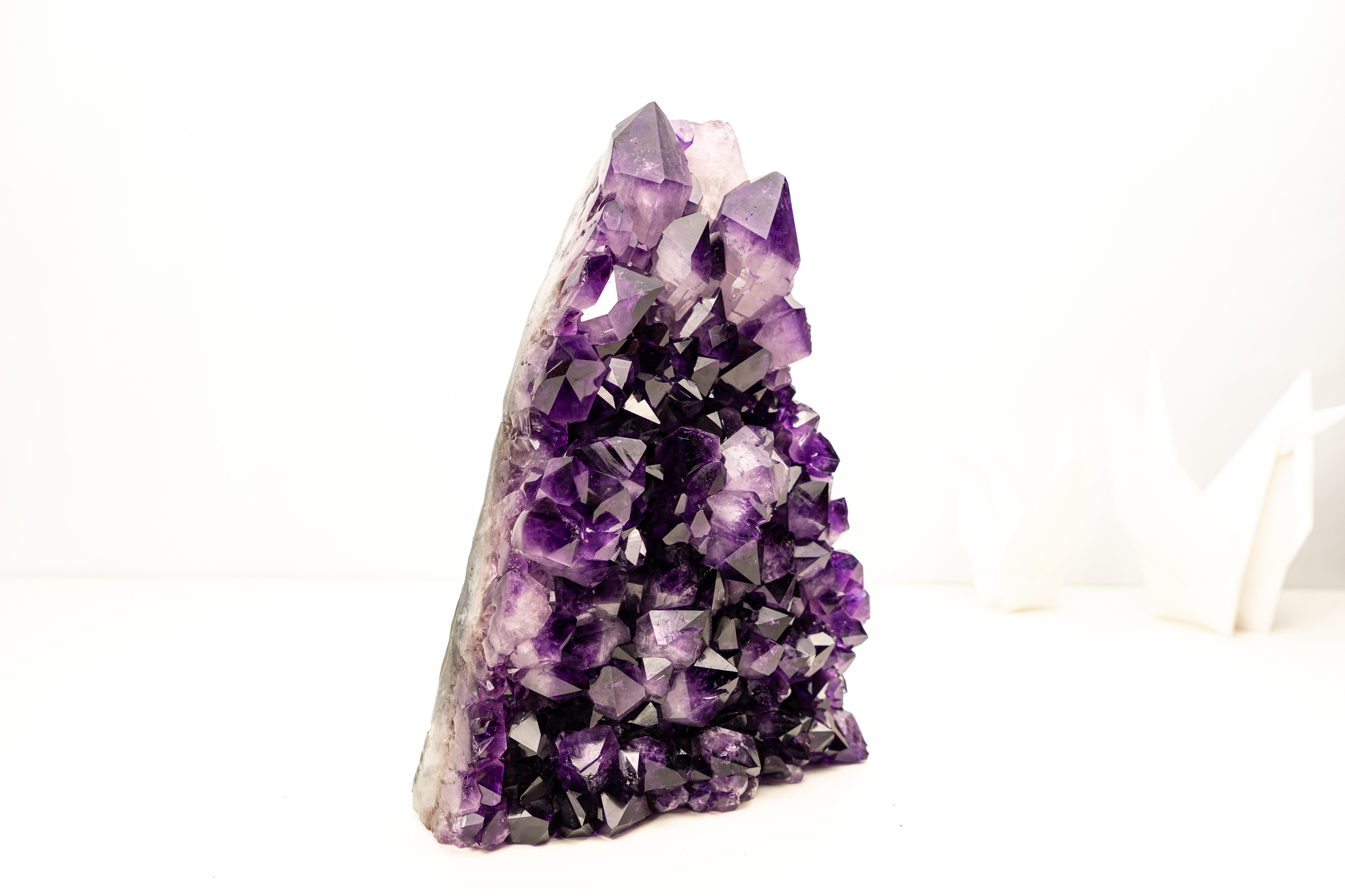 Gallery-Grade Amethyst Cluster with AAA Saturated Amethyst Druzy

▫️ Description

A gallery-grade Amethyst cluster showcasing beautiful aesthetics, with large, deeply saturated dark-purple druzy crystals known as “Grape Jelly” for their intense