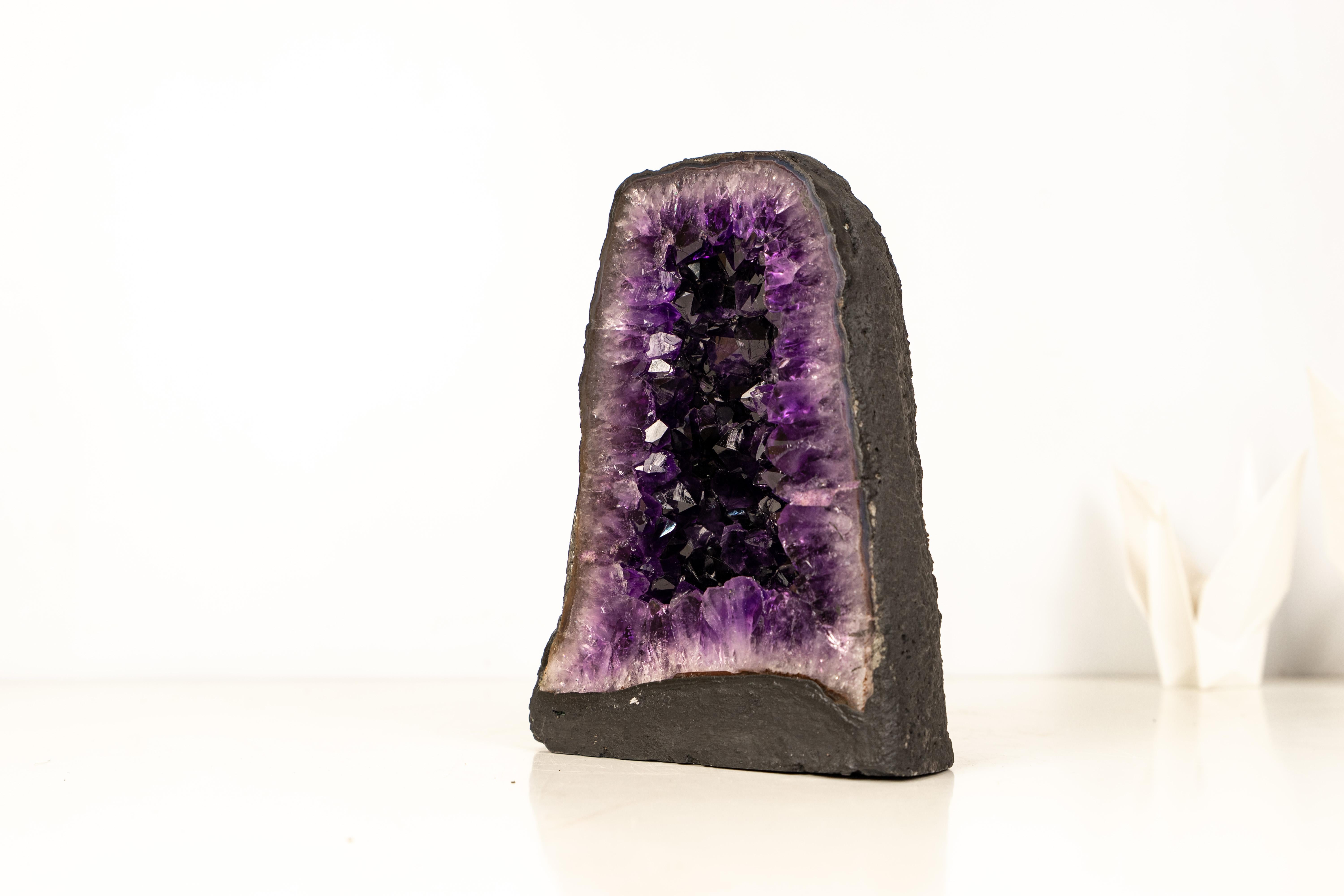 Cattedrale di geode di ametista di grado AAA - Cristalli druzy viola intenso In condizioni Nuovo in vendita a Ametista Do Sul, BR