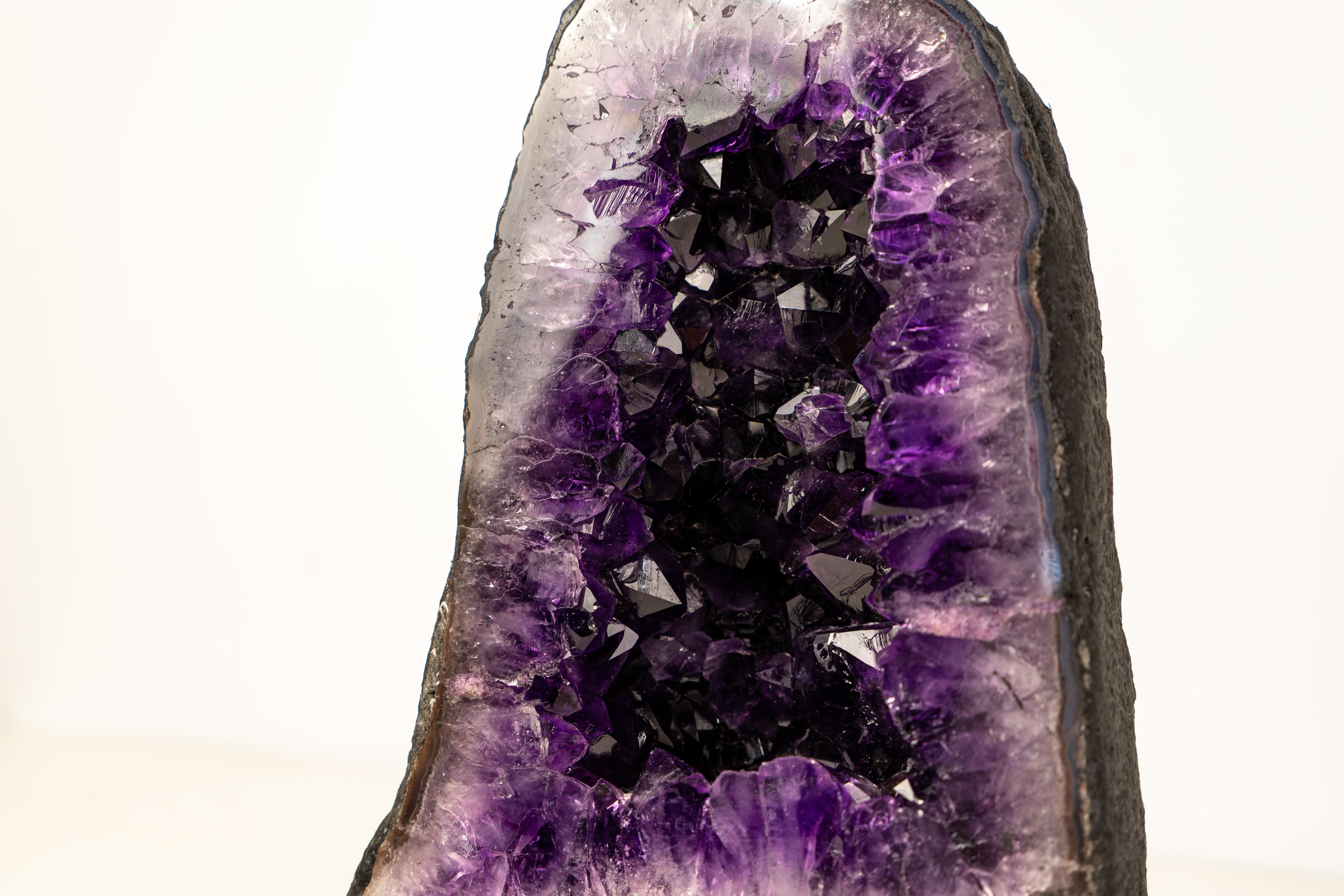 XXI secolo e contemporaneo Cattedrale di geode di ametista di grado AAA - Cristalli druzy viola intenso in vendita