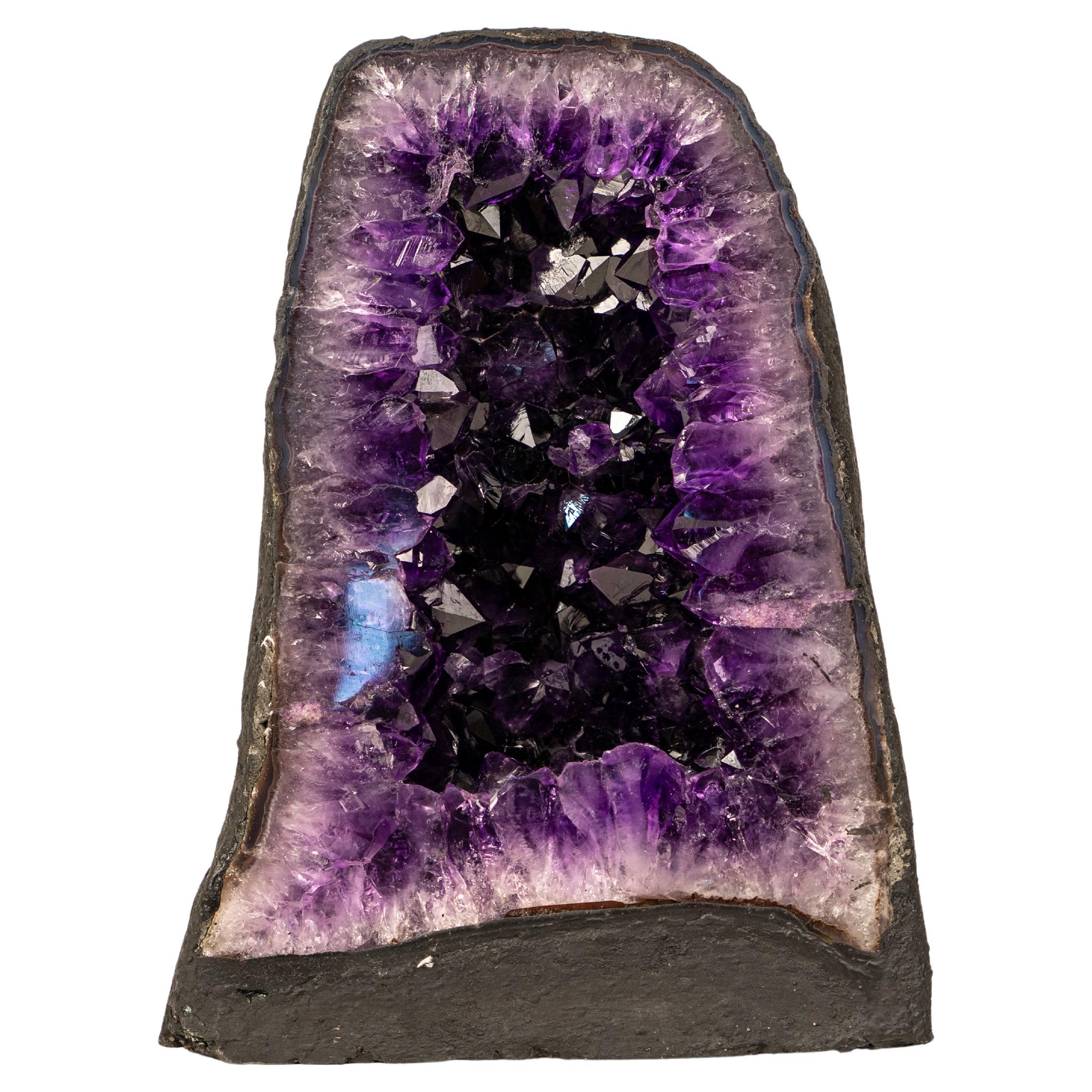 AAA-Grade Amethyst Geode Cathedral – Deep Purple Druzy Crystals