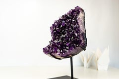 AAA-Grade Amethyst Geode Cluster with Rare Stalactite Flower
